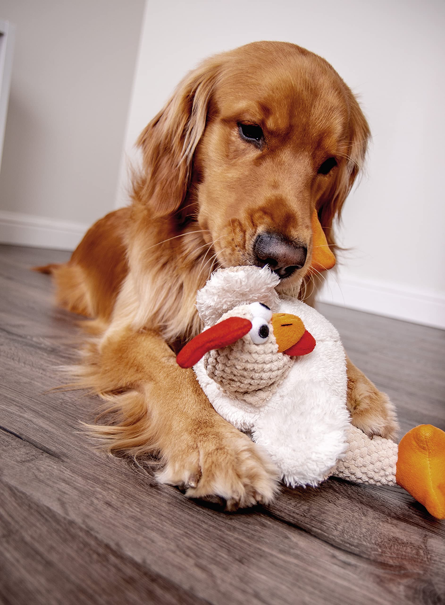 Godog Checkers Fat Rooster Squeaky Plush Dog Toy, Chew Guard Technology - White, Large