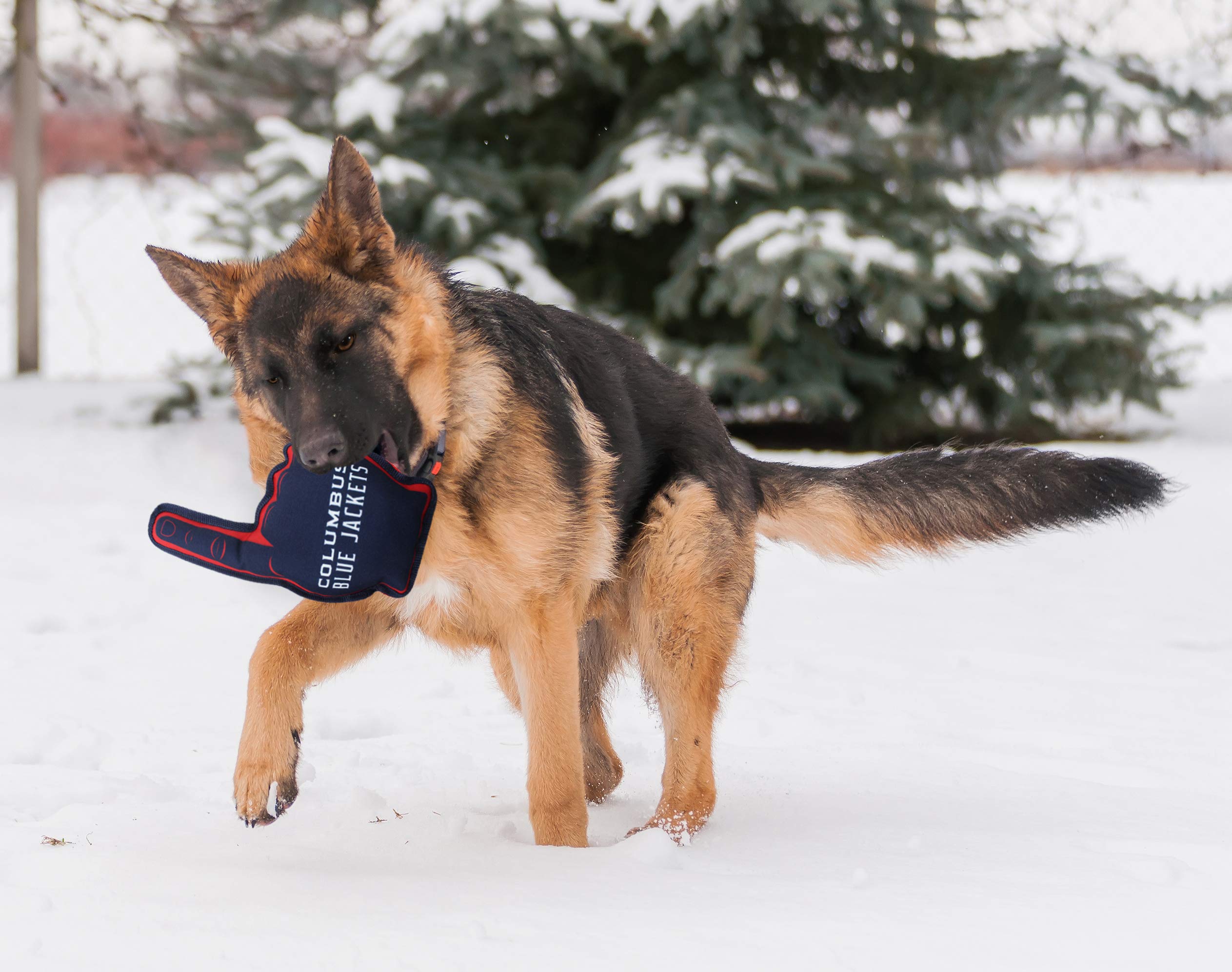 Pets First Nhl Columbus Blue Jackets Fan Toy, Team Color, One Size (Cbj-3277)