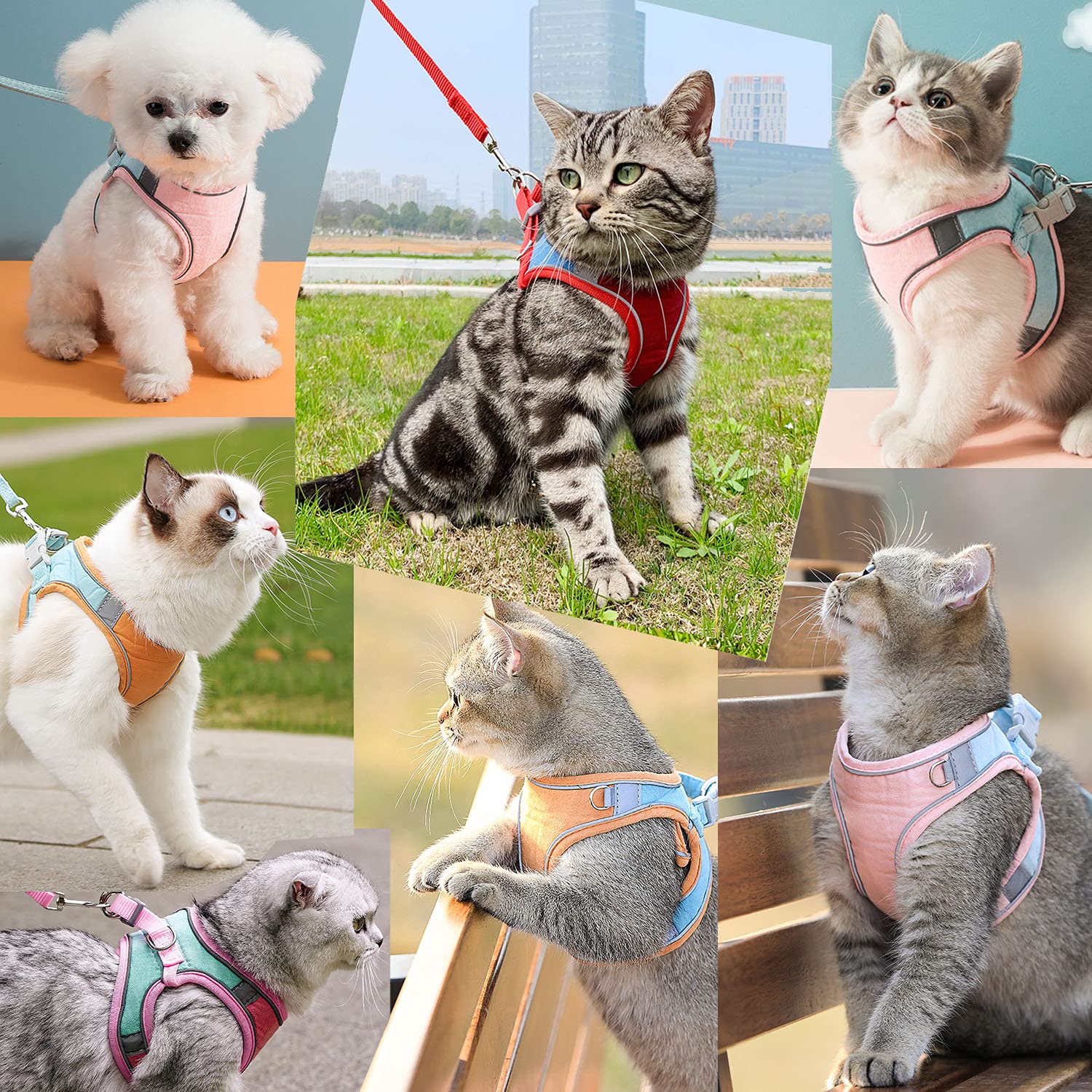 Jsxd Cat Harness,Leash And Collar Set,Escape Proof Kitten Vest Harness For Walking,Easy Control Night Safe Pet Harness With Refl