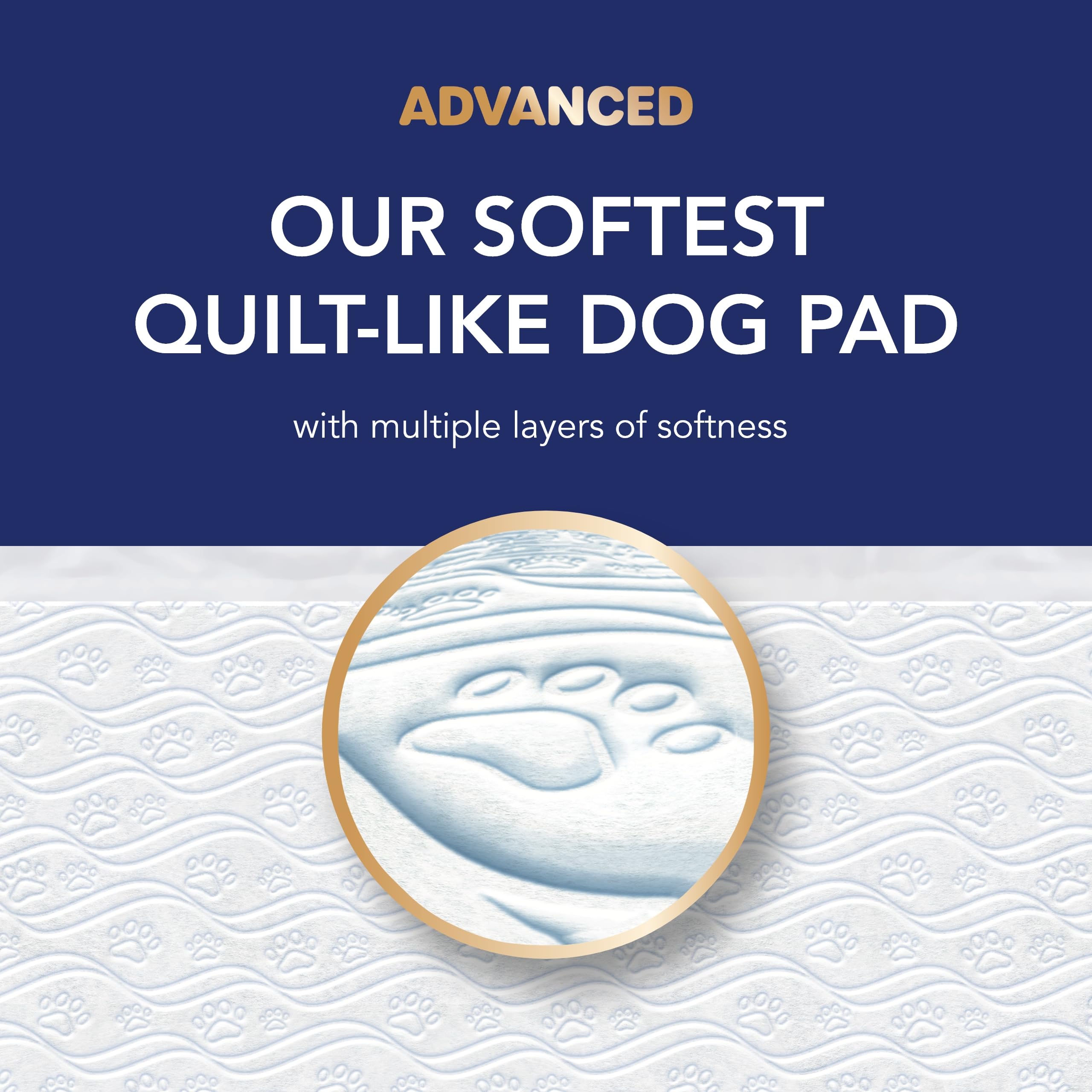 Scott Pet Guard Advanced Dog Pads - Dog Training Pee Pads for Puppies, Medium & Large Dogs - Up to 16 Hour Absorbency with Odor