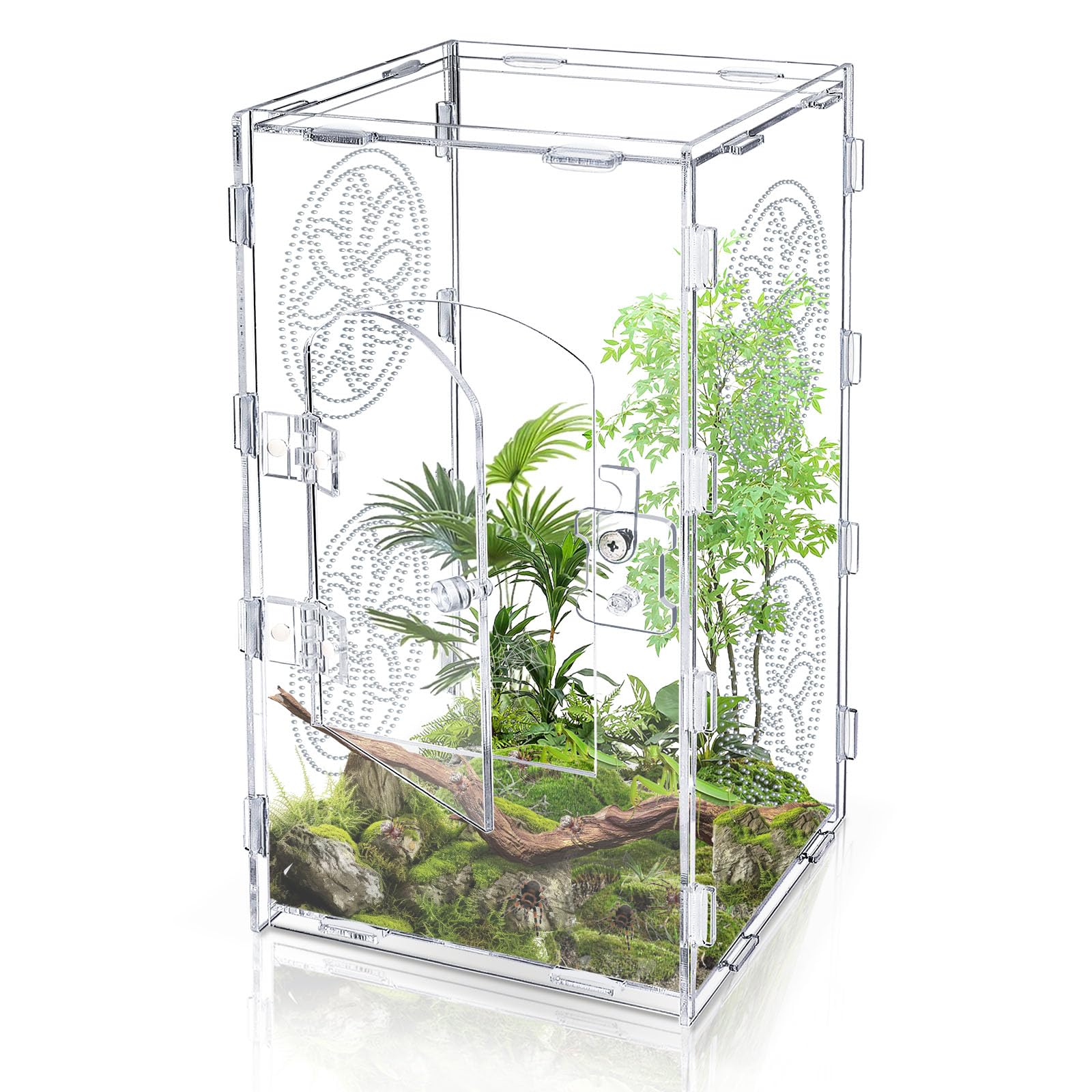 Jumping Spider Enclosure, 12x6x6 Inch Acrylic Tarantula Enclosure, Jumping Spider Accessories with Front Opening Door