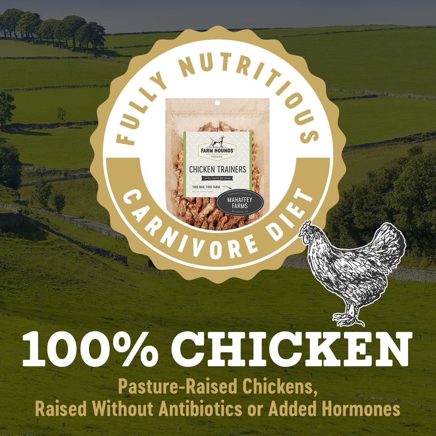 Farm Hounds - Chicken Trainers - Premium Natural Jerky for Dogs - 100% Humanely Raised Chicken - Easy-Break - Great for Training