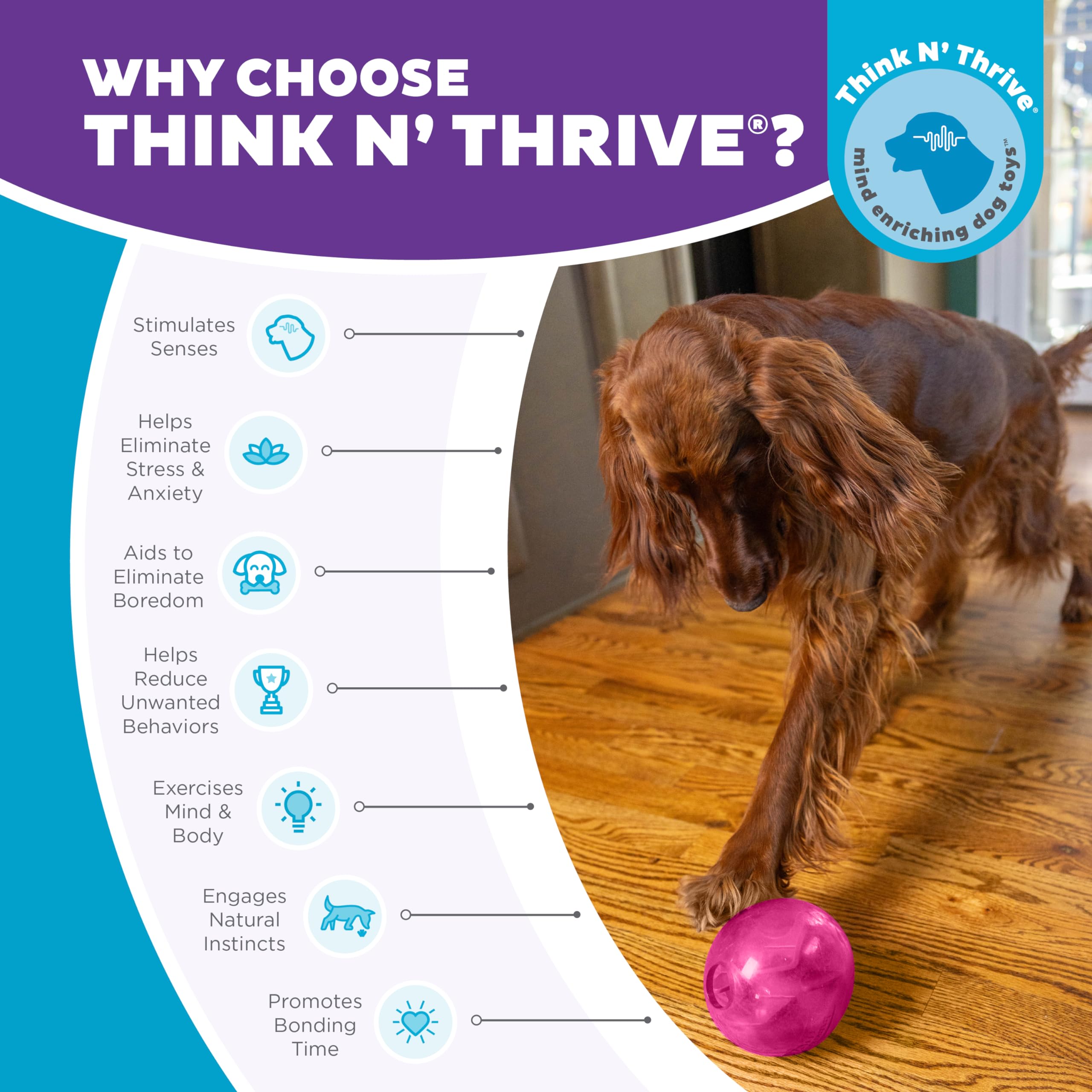 Outward Hound By Planet Dog Mazee Puzzle Ball Interactive Treat Dispensing Dog Toy, Pink