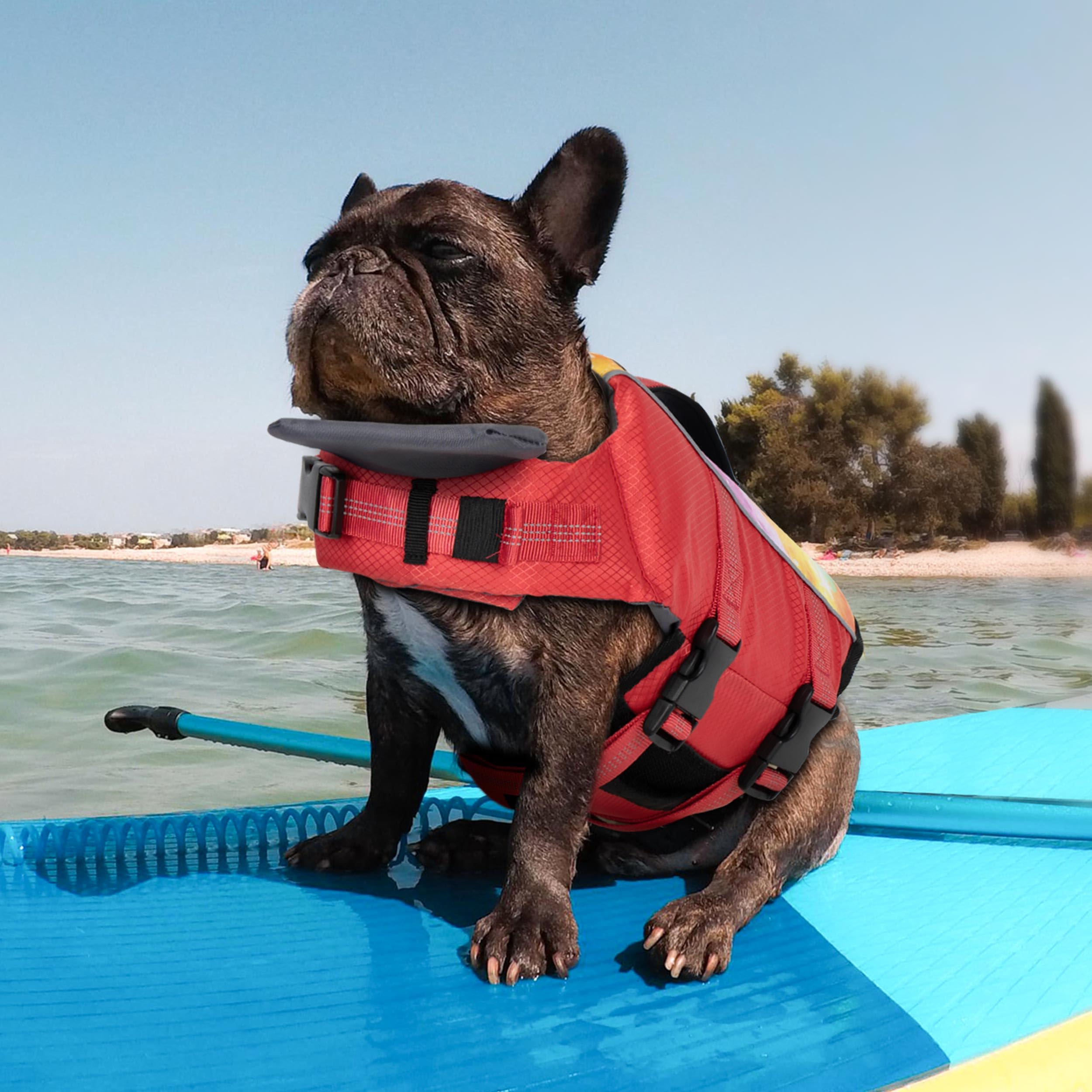 Cyeollo Dog Life Vests For Boating High Buoyancy Small Dog Life Jacket For Swimming, Pet Safety Float Lifesaver Vest With Chin F