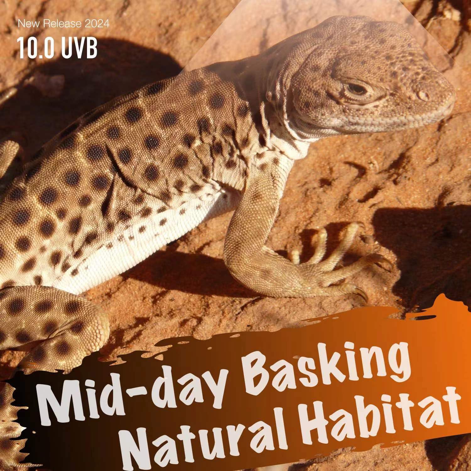 Reptiking Uvb Reptile Light, 10.0 24W, Uva Uvb Reptile Light Bulb Lamp For Bearded Dragon, Uvb Bulbs For Desert Reptiles