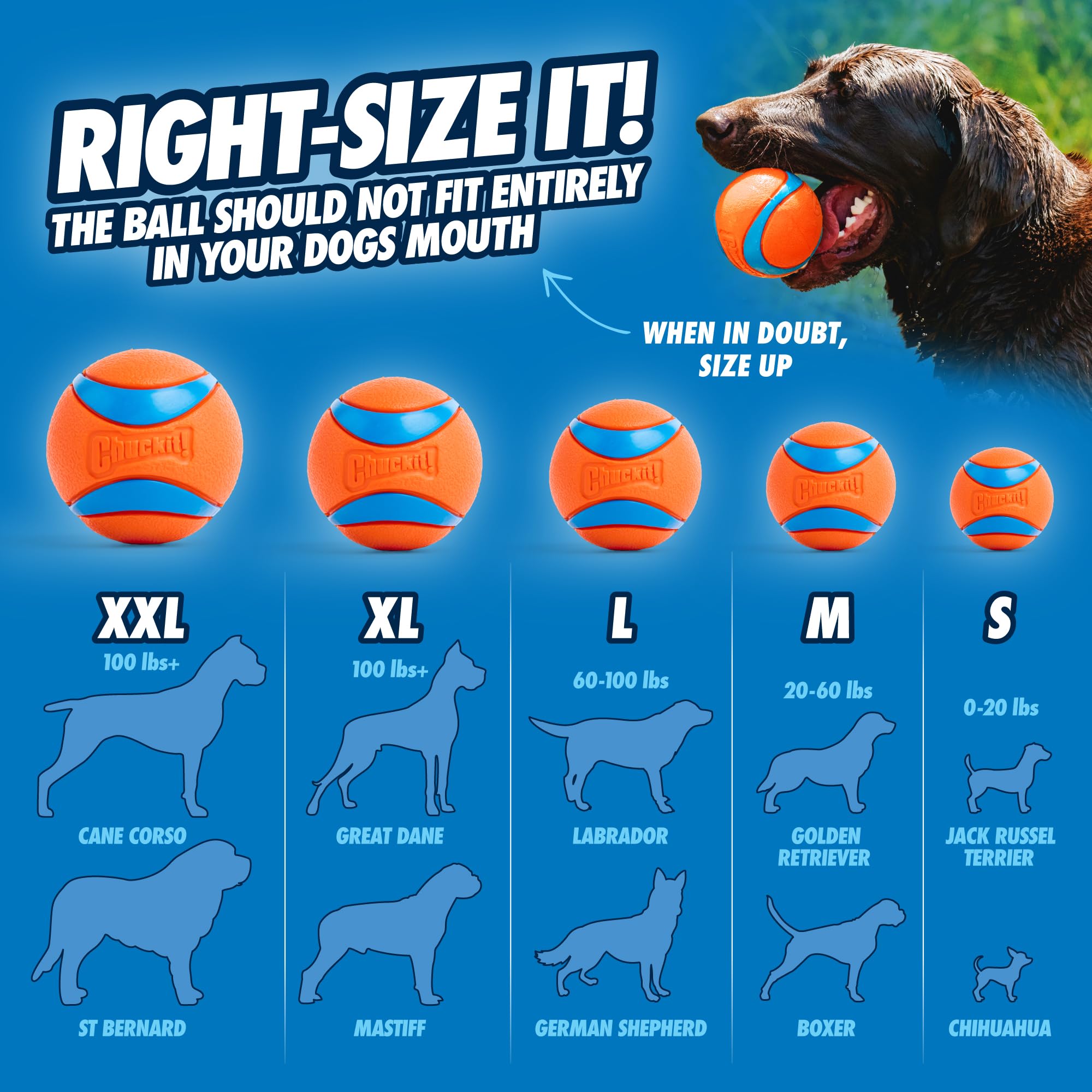 Chuckit! Ultra Ball Dog Toy - Size Large - For Dogs 60-100 Lbs - Made From Durable Rubber - Super Bouncy - Floats In Water - 3-I
