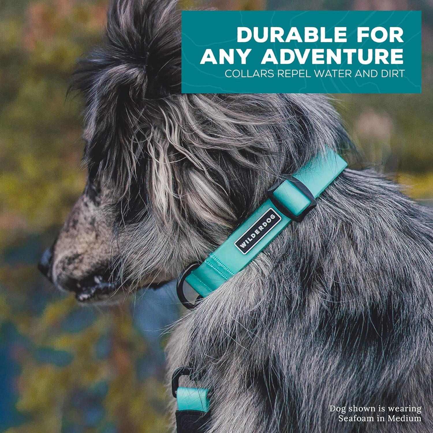 Wilderdog Waterproof Dog Collar - Repels Water & Dirt - Small 11''-15'' - Plum