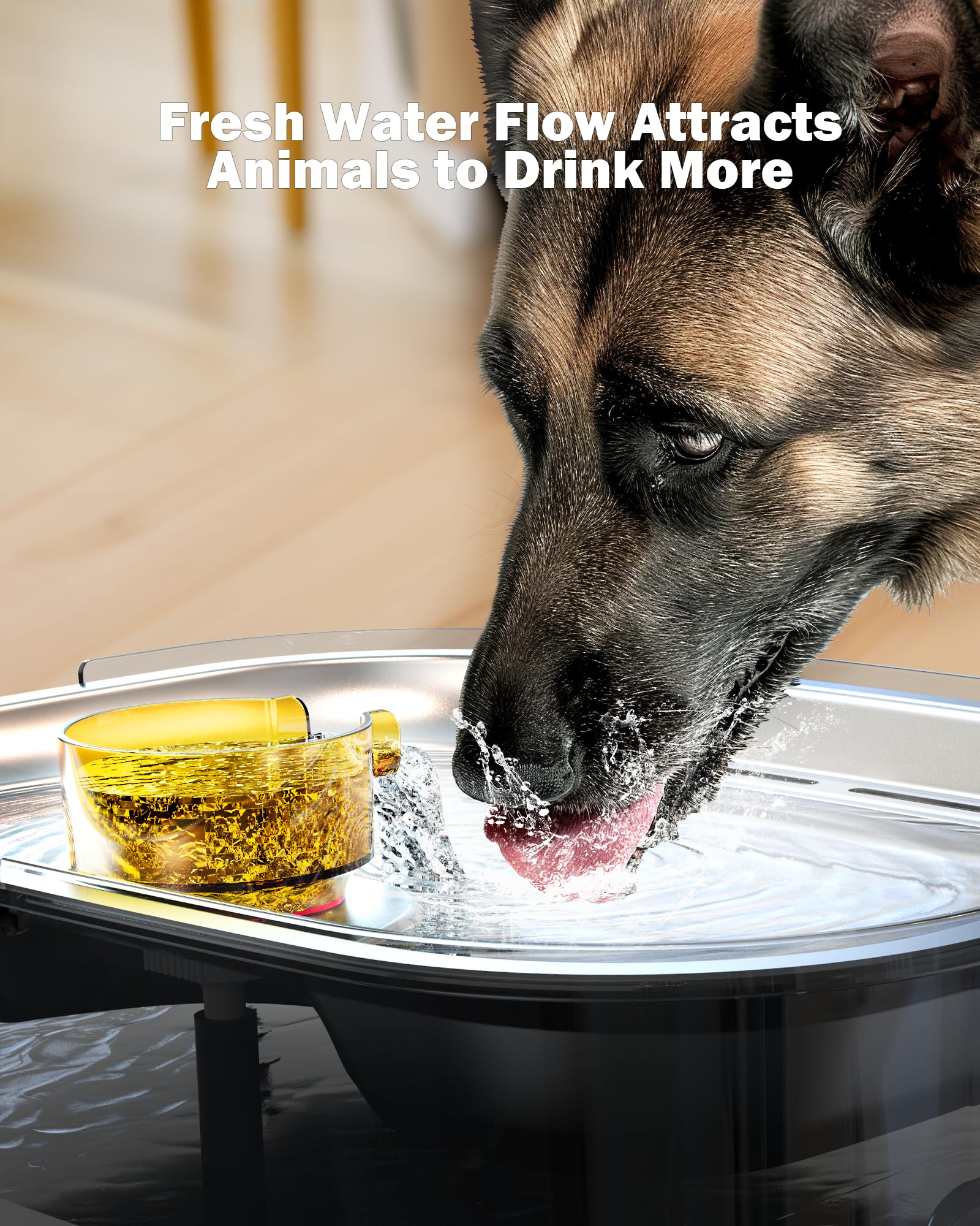 Dog Water Fountain, Dog Water Fountain for Large Dogs Stainless Steel, Large Dog Water Bowl Dispennser 2.6Gal 10L Pet Water Foun