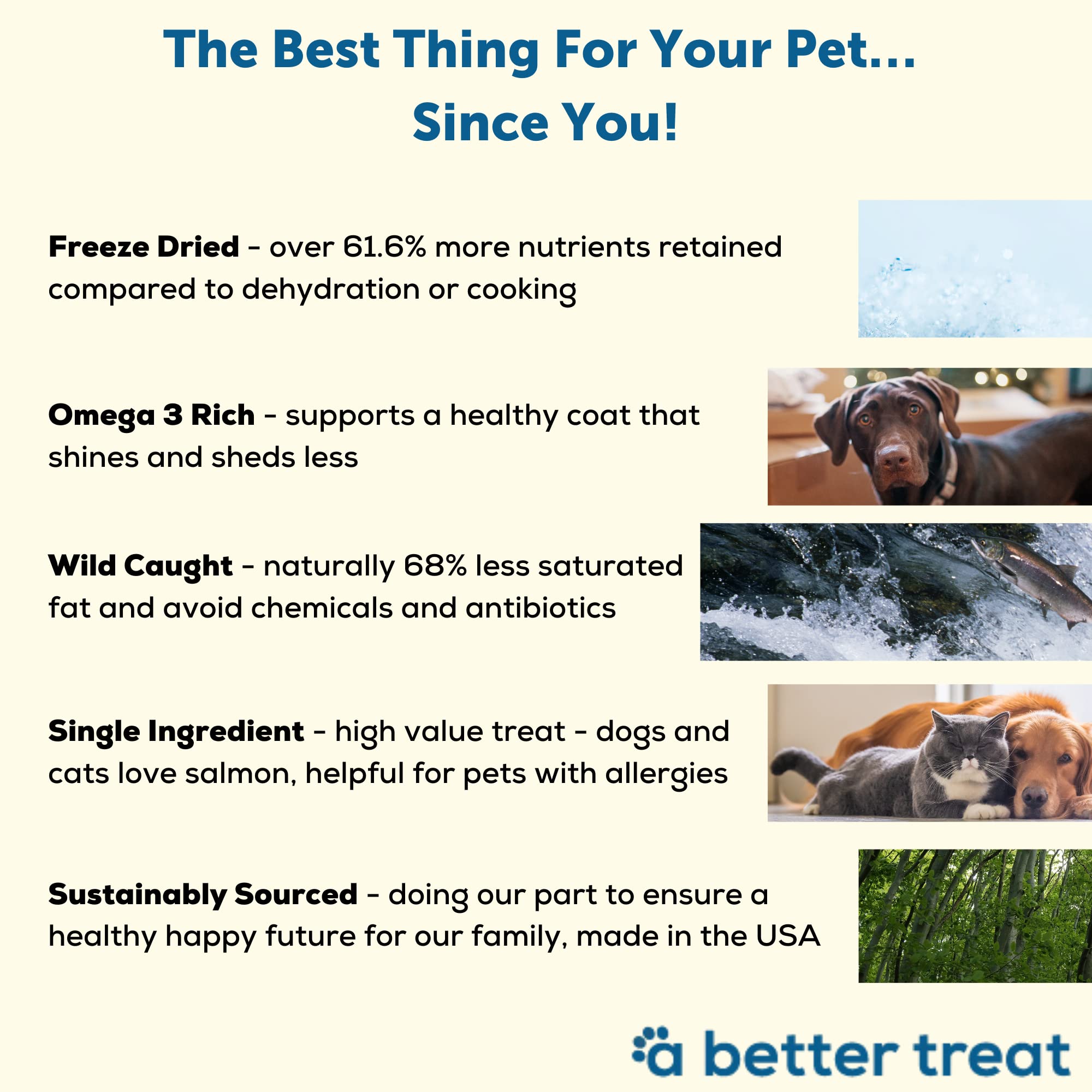 A Better Treat New Freeze Dried Salmon Dog Treats, Wild Caught, Single Ingredient | Natural High Value | Gluten Free, Grain Free