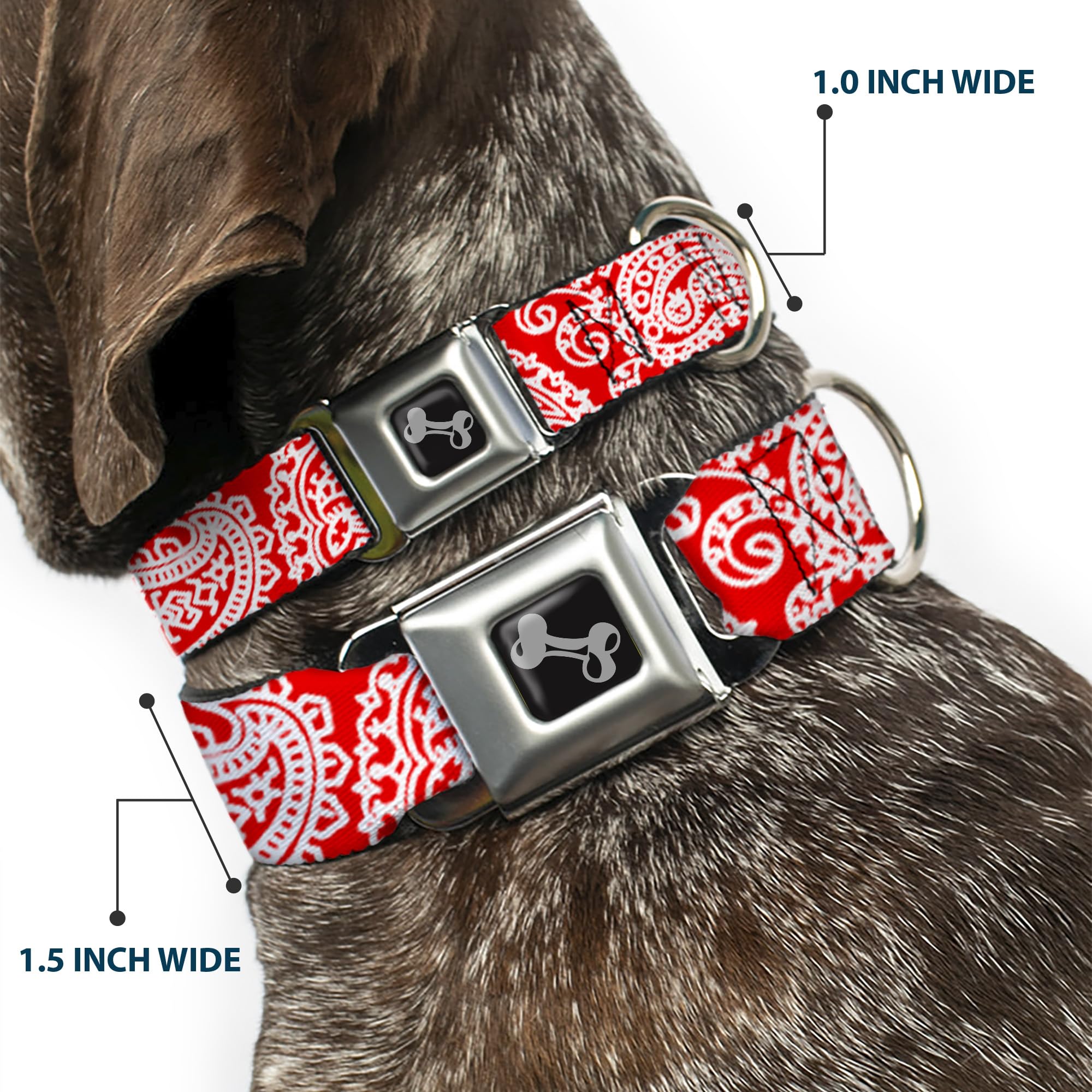 Buckle-Down Seatbelt Buckle Dog Collar - Bandana/Skulls Red/White - 1'' Wide - Fits 9-15'' Neck - Small
