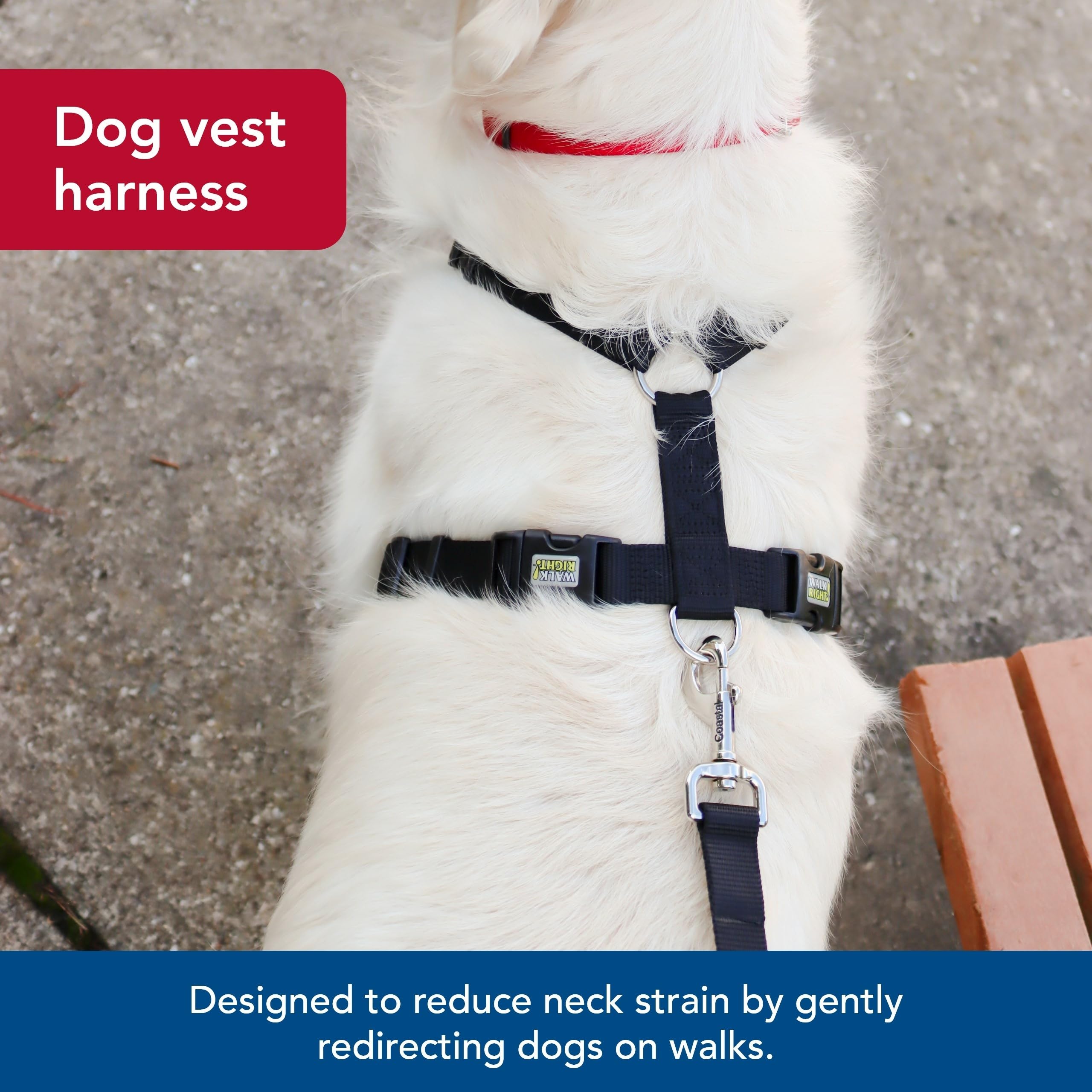 Coastal No-Pull Padded Dog Harness - Adjustable for Small & Large Breeds, Black, MED (20"-30") - Quality Pet Supplies