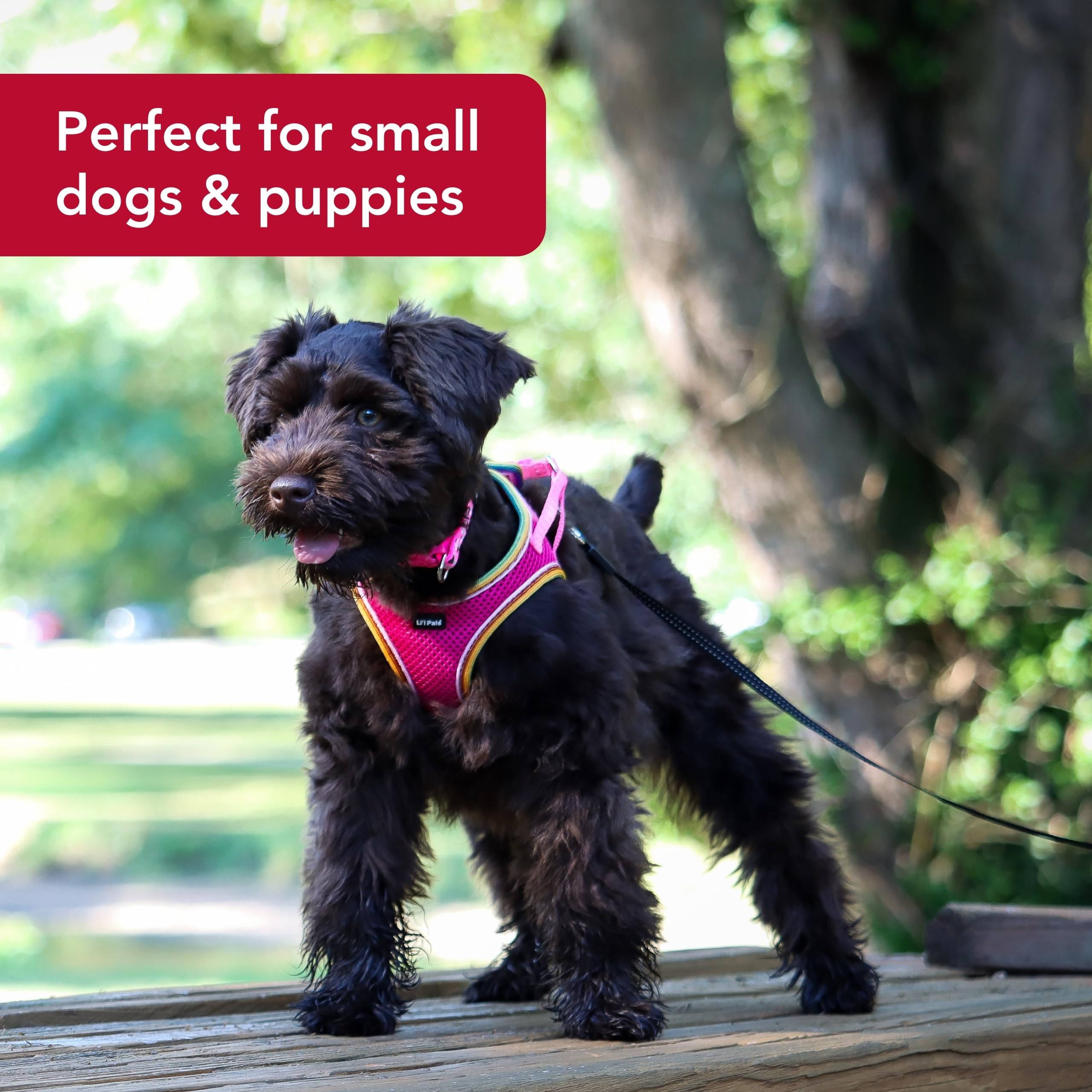 Coastal Pet Li'L Pals Comfort Mesh Dog Harness - No-Pull Step-In Dog Harness For Small Dogs & Puppies - Dog Cooling Vest - Black - 3/8' X 10'-12'