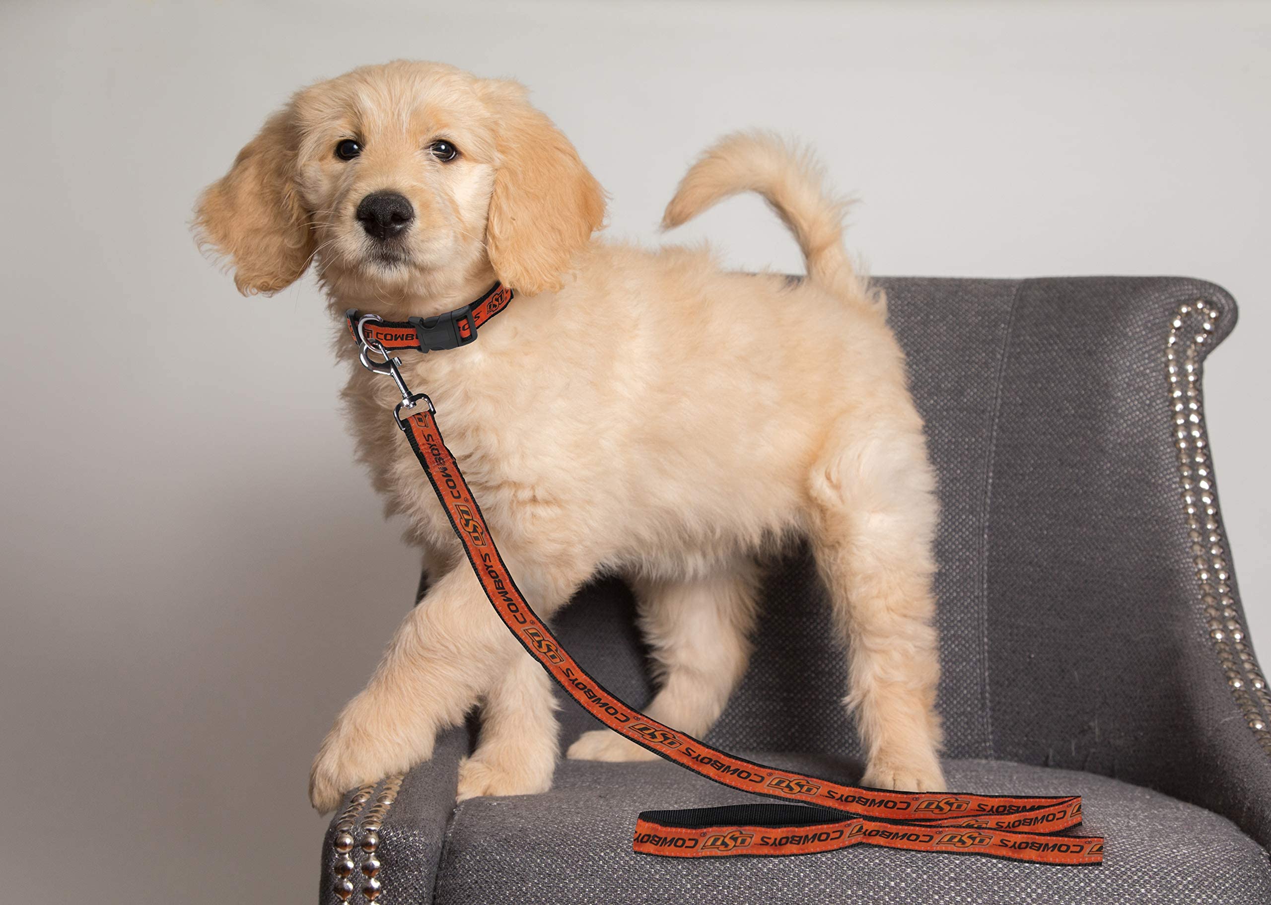 Pets First Collegiate Pet Accessories, Dog Leash, Oklahoma State Cowboys, Small