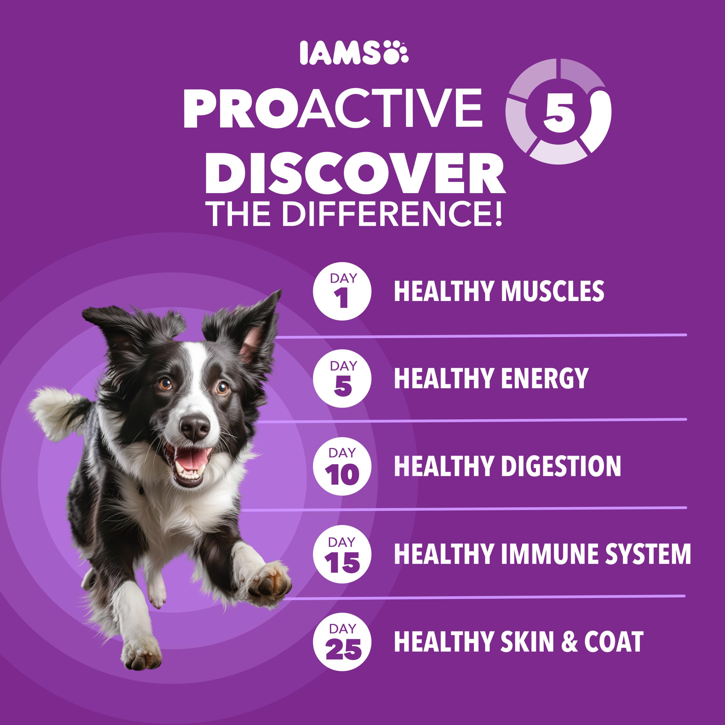 IAMS Advanced Health Adult Healthy Digestion Dry Dog Food with Real Chicken, 27 lb. Bag