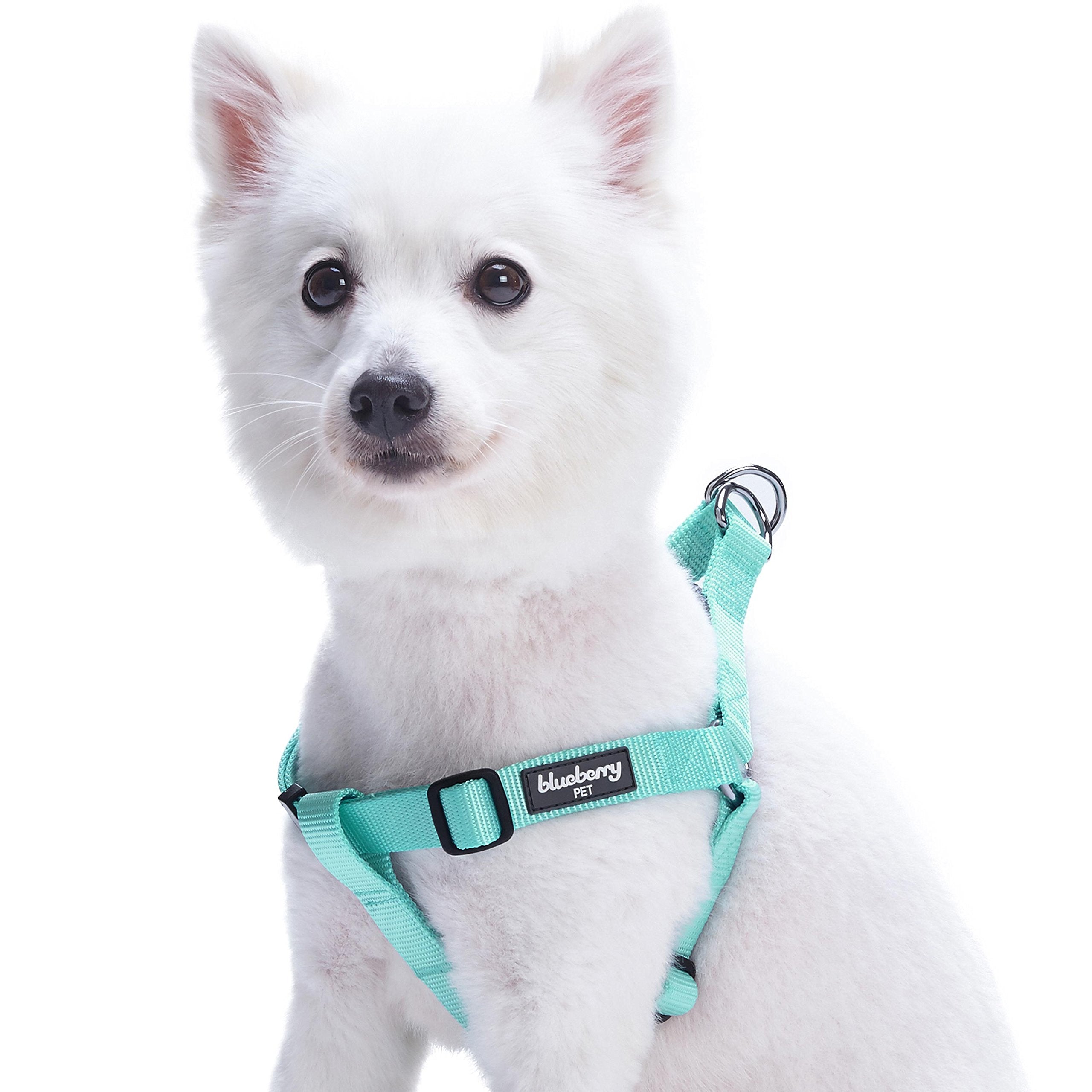 Blueberry Pet Essentials Classic Durable Solid Nylon Step-In Dog Harness, Chest Girth 26' - 39', Mint Blue, Large, Adjustable Harnesses For Puppy Boy Girl Dogs