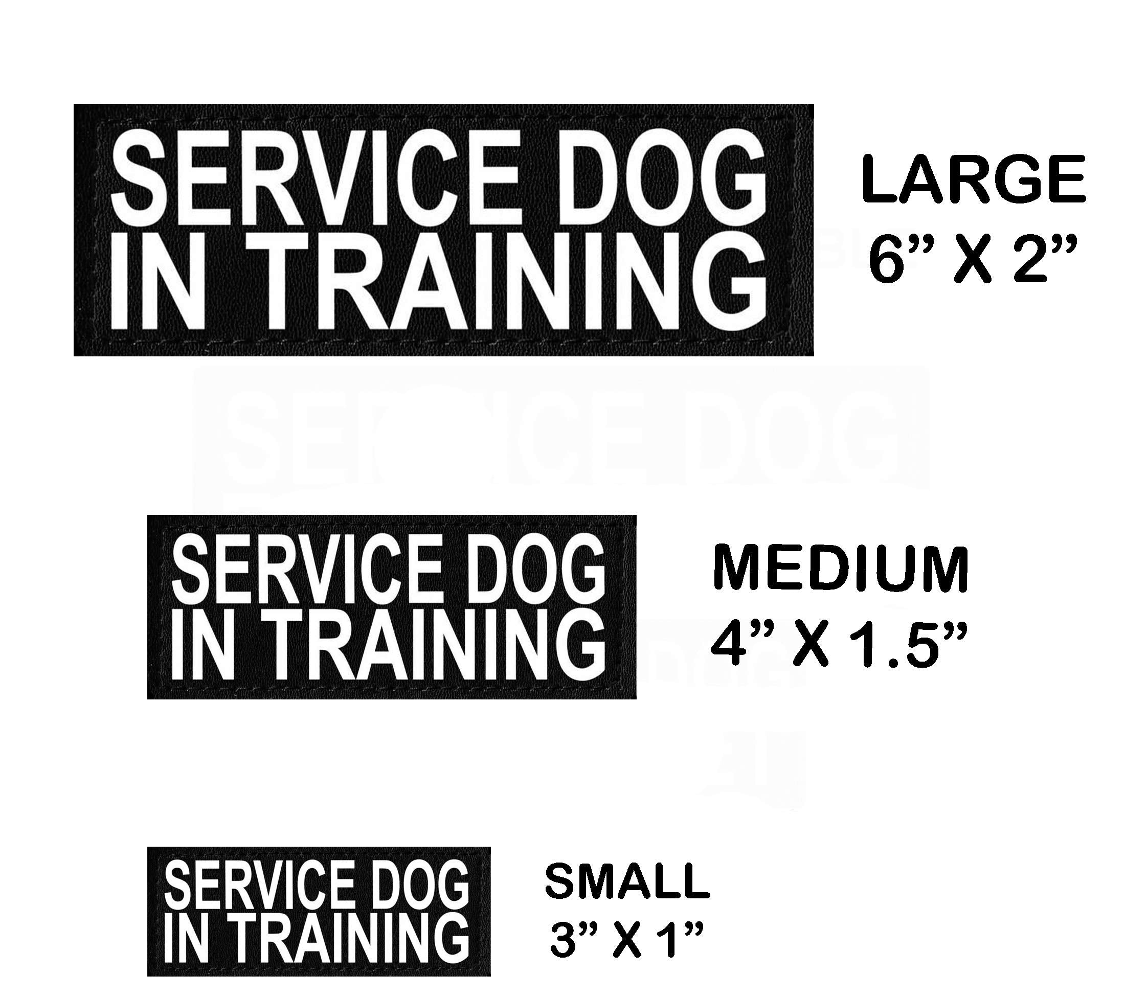 Set Of 2 Reflective Service Dog In Training Patches For Service Dog Harnesses & Vests. (Small 3' X 1')