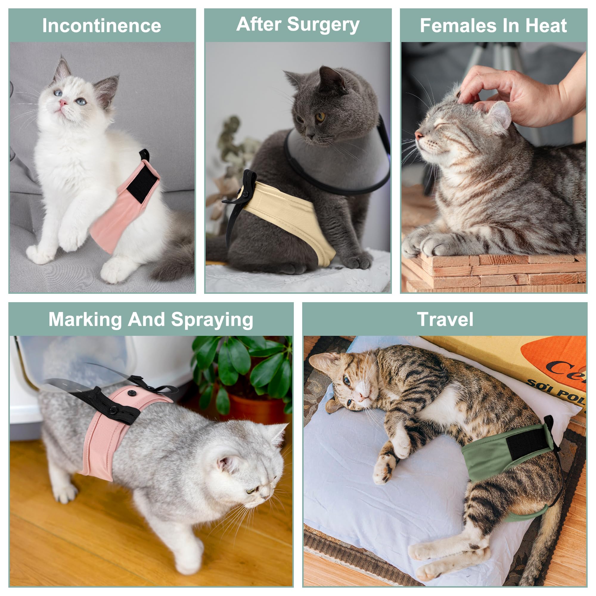 Pedobi Cat Diapers 3 Pack With Good Absorbency For Female Cats Small& Male Cat Easy To Put On Adorable Diapers For Cats Secure F