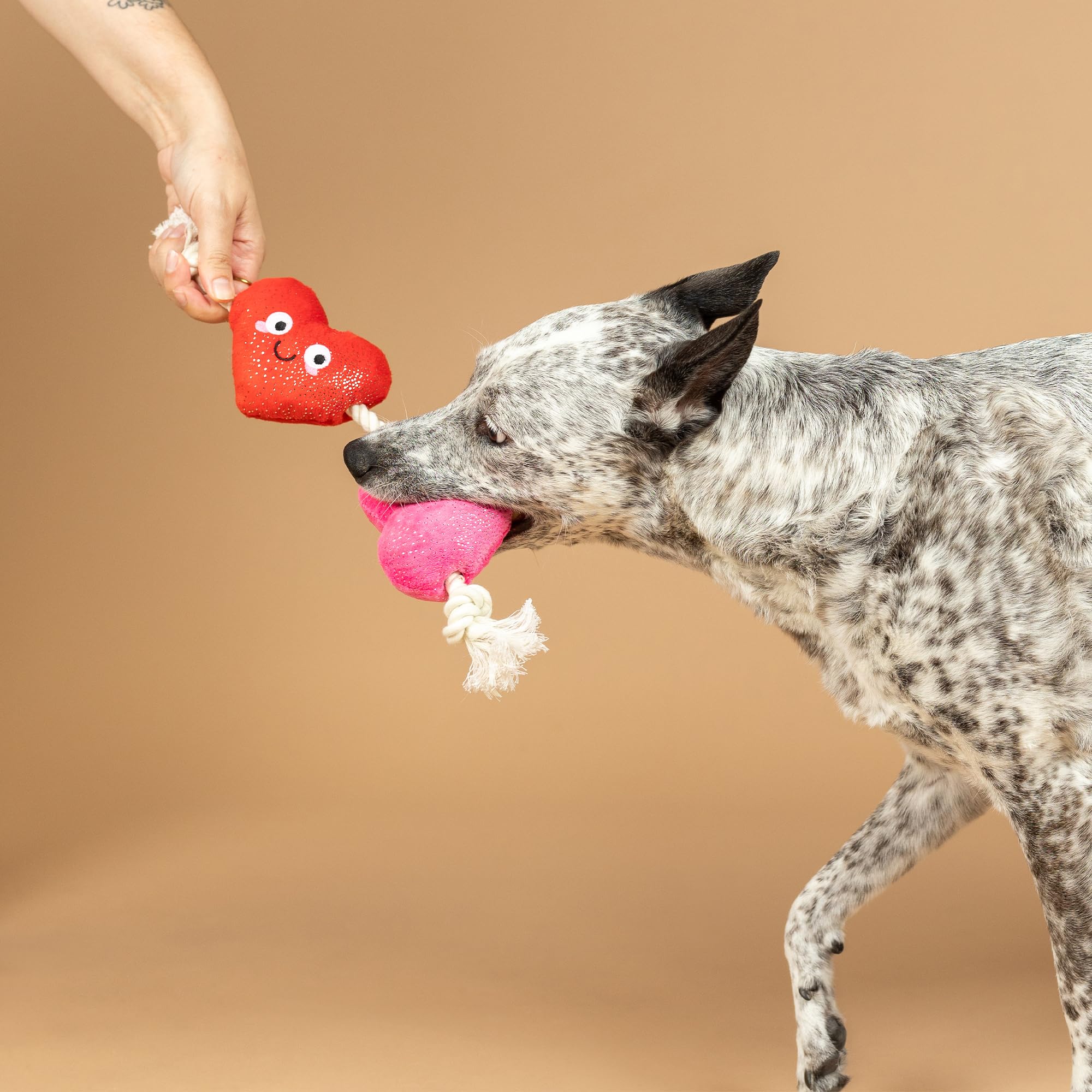 Fringe Studio Plush Dog Toy With Rope, Cant Be Ap-Heart, Petshop Collection (314494)