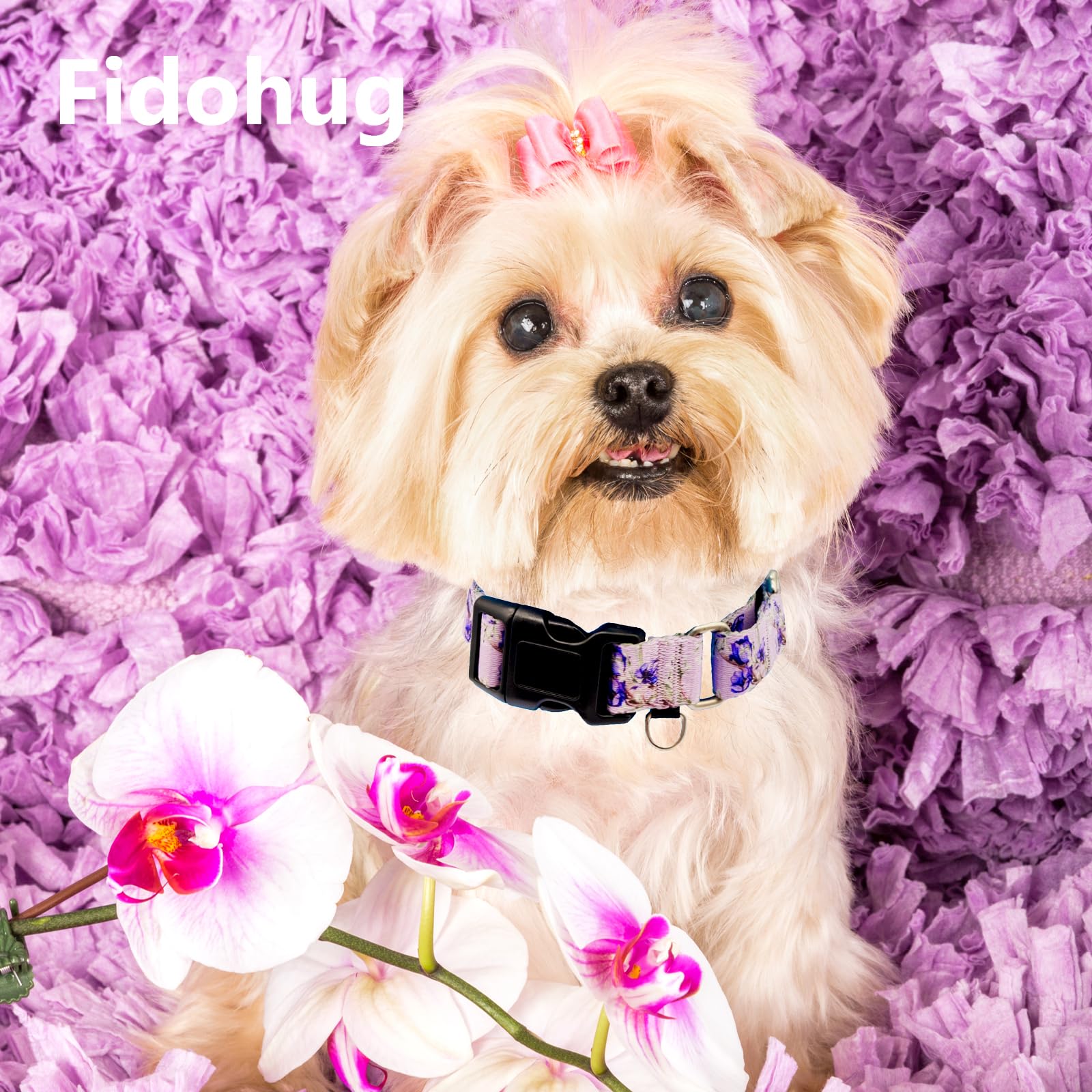 Fidohug Martingale Collar For Dogs Floral Dog Collars For Small Medium Large Dogs With Buckle Adjustable Soft Nylon Dog Collar (