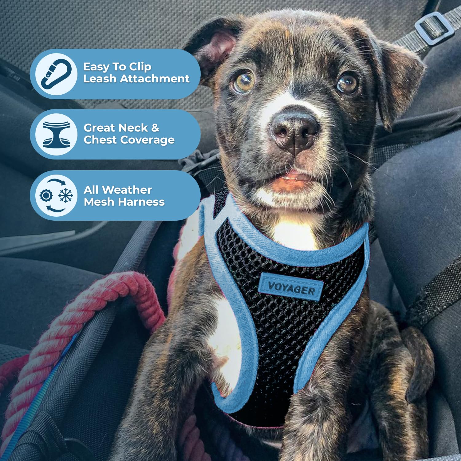 Voyager Step-In Air Dog Harness - All Weather Mesh Step In Vest Harness For Small And Medium Dogs By Best Pet Supplies - Blue Trim, Xs