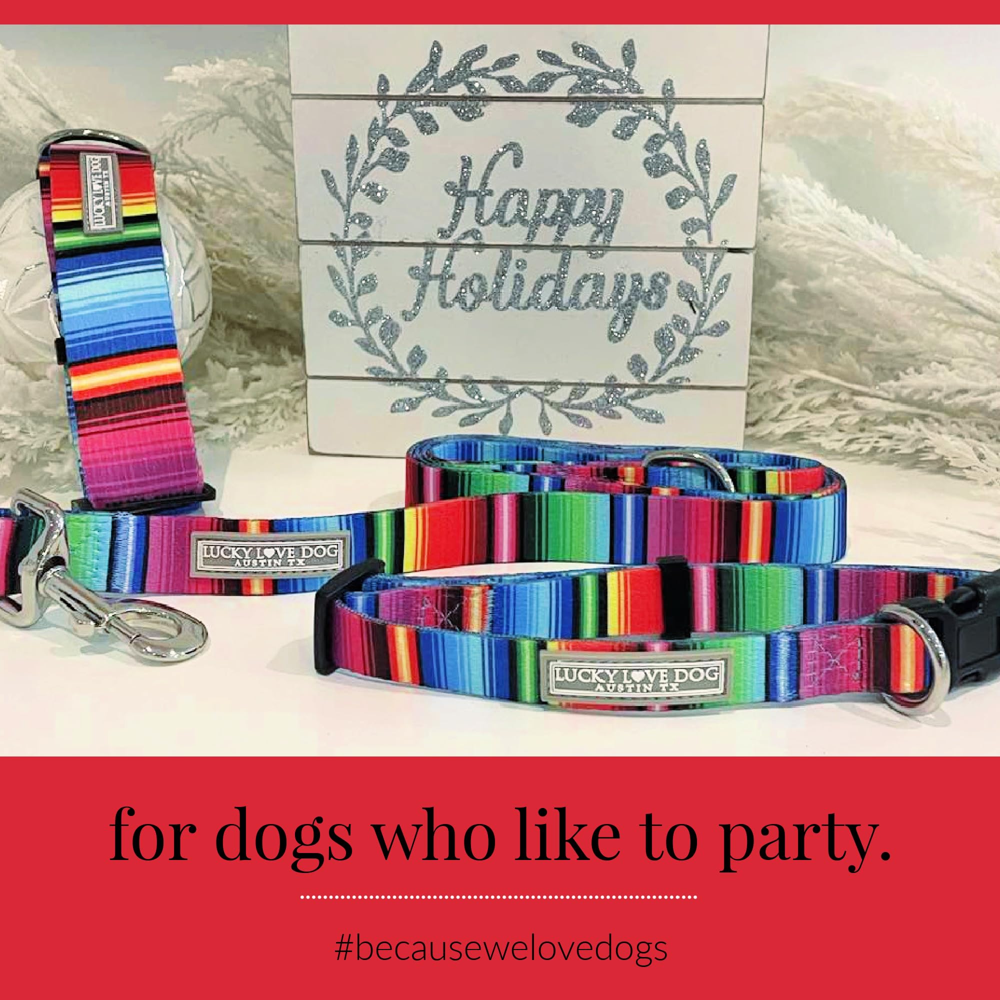 Lucky Love Dog Leash, Colorful Striped Dog Leash For Small Dogs, Durable & Long Lasting, (Nacho, Small)