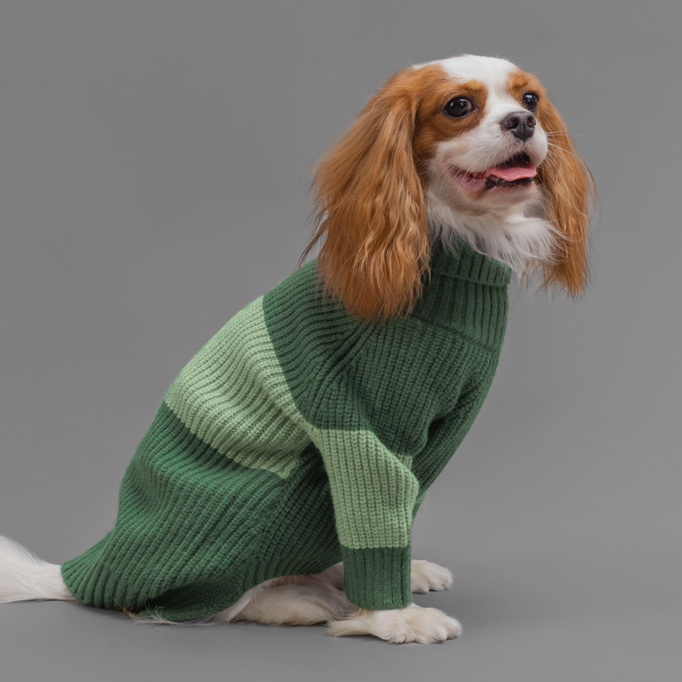 Fitwarm Color Block Turtleneck Dog Sweater, Thermal Dog Winter Clothes For Small Dogs Boy Girl, Pet Outfit, Dark Green, Mint Gre