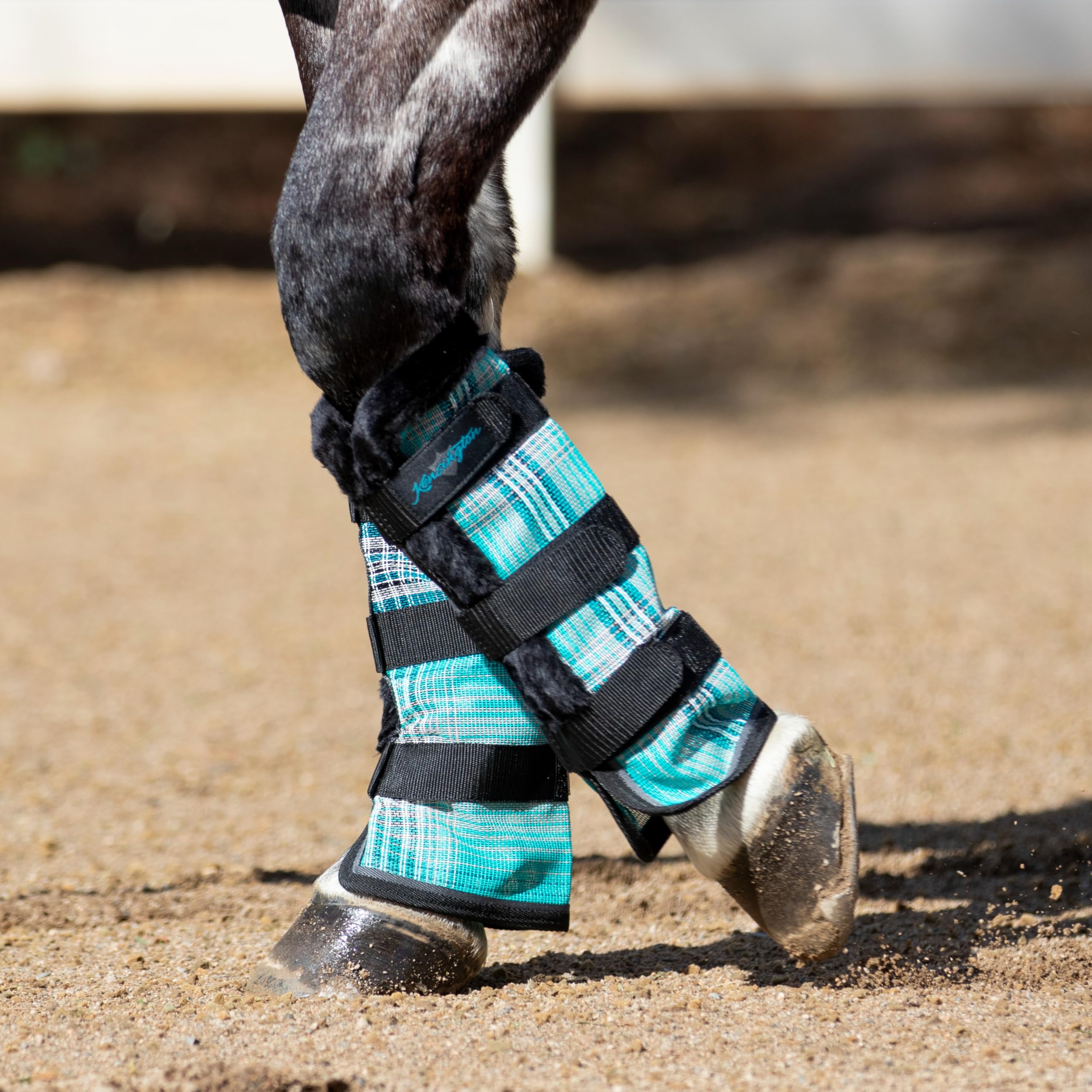 Kensington Protective Fly Boots (Pair) Size:M-Small Horse Color: 2021 - Atlantis