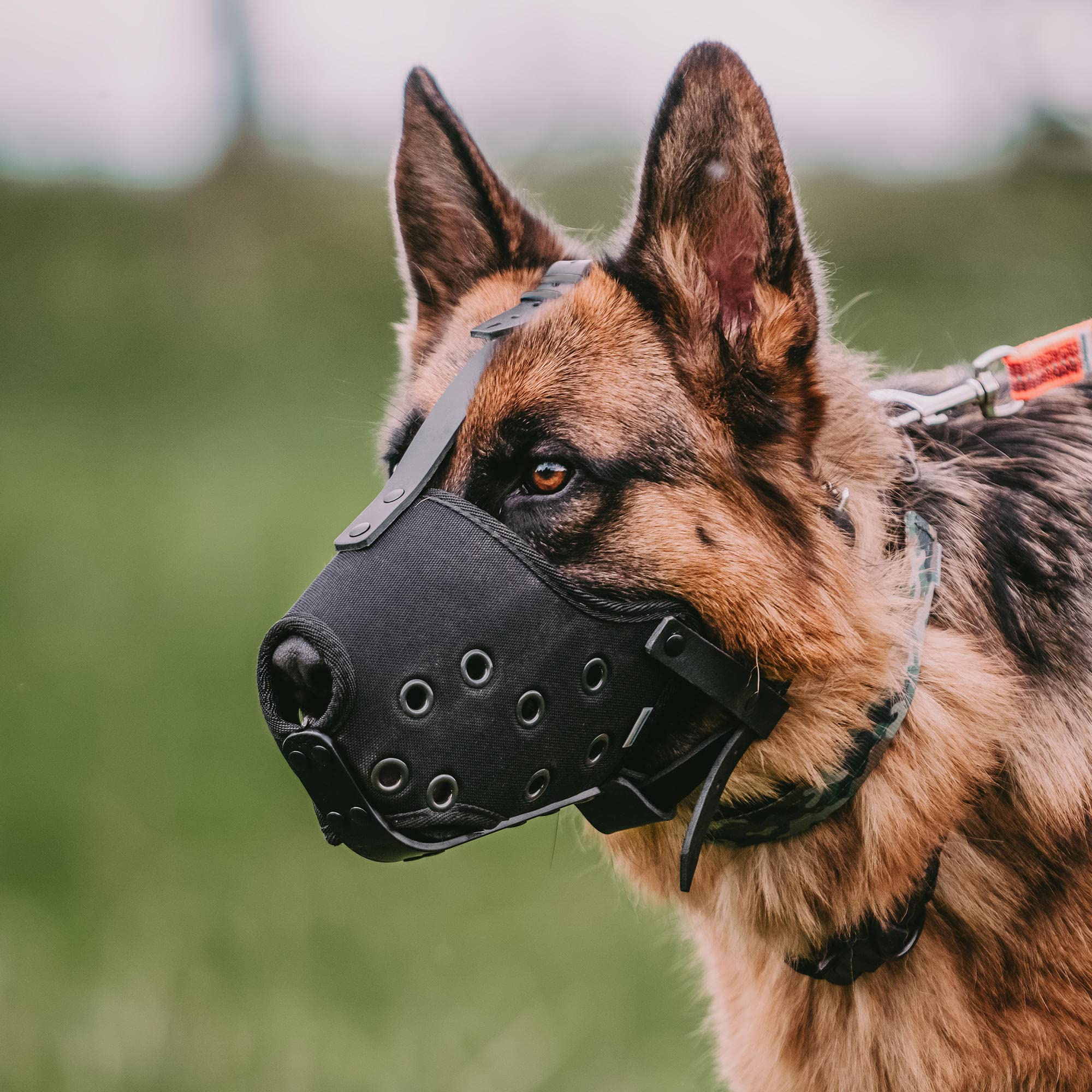 Sprenger Dog Muzzle For Large Dogs No Biting Barking Or Chewing Basket Muzzle With Adjustable Straps For Working Dogs - Black (8