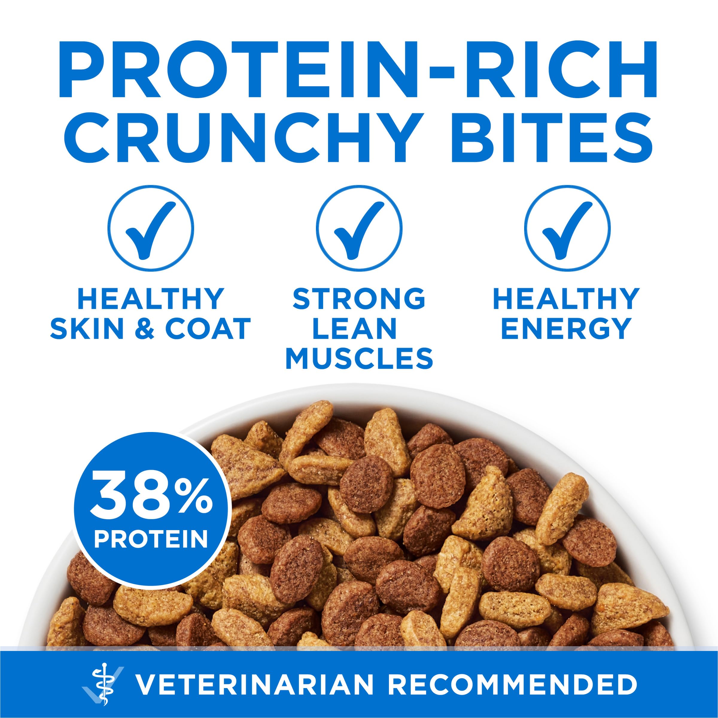 Purina ONE Plus High Protein Cat Food Dry Salmon and Ocean Whitefish Cat Skin and Coat Health Formula - 16 lb. Bag