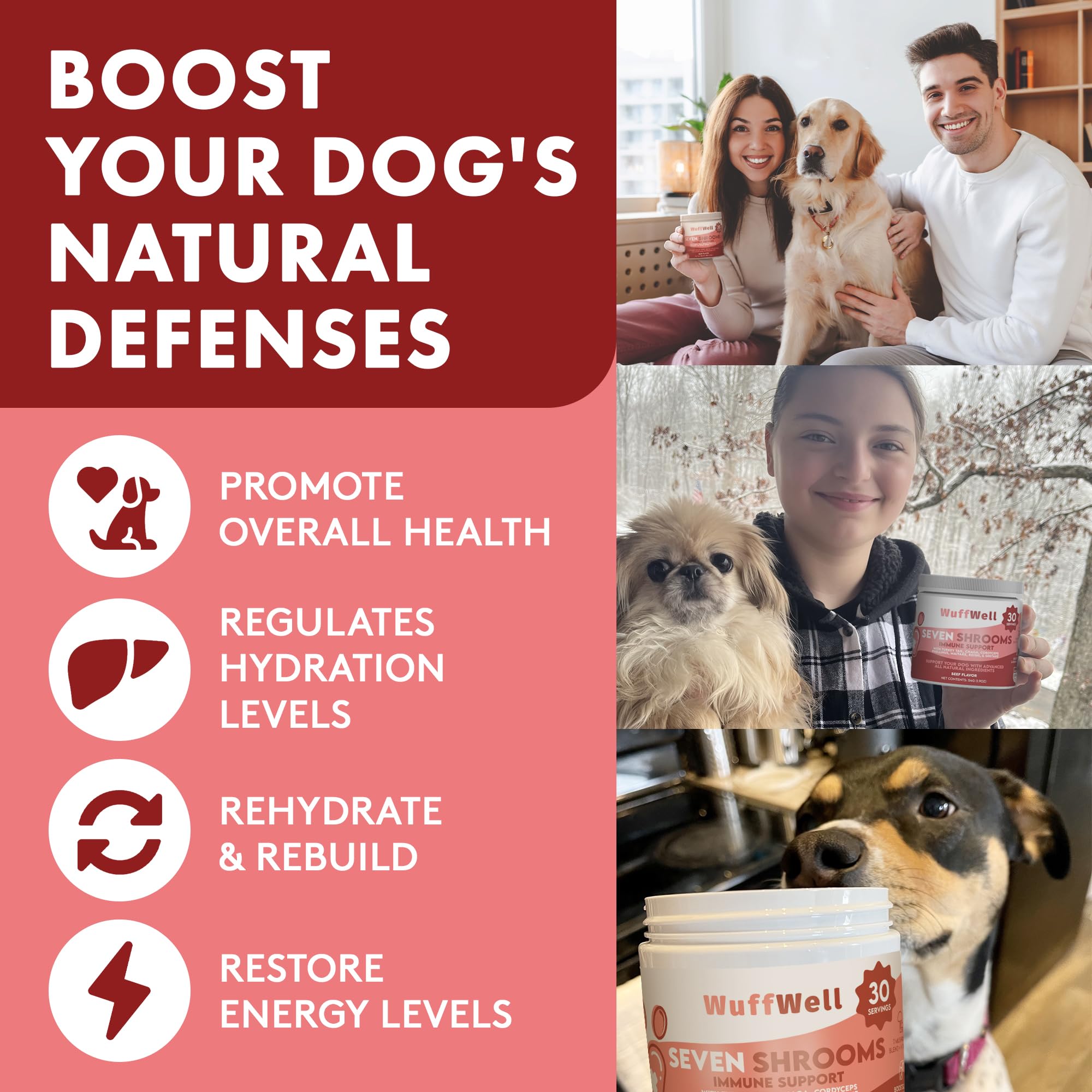 WuffWell Turkey Tail Mushroom Powder for Dogs – Immune Support Supplement, Vet-Recommended, 1.9Oz