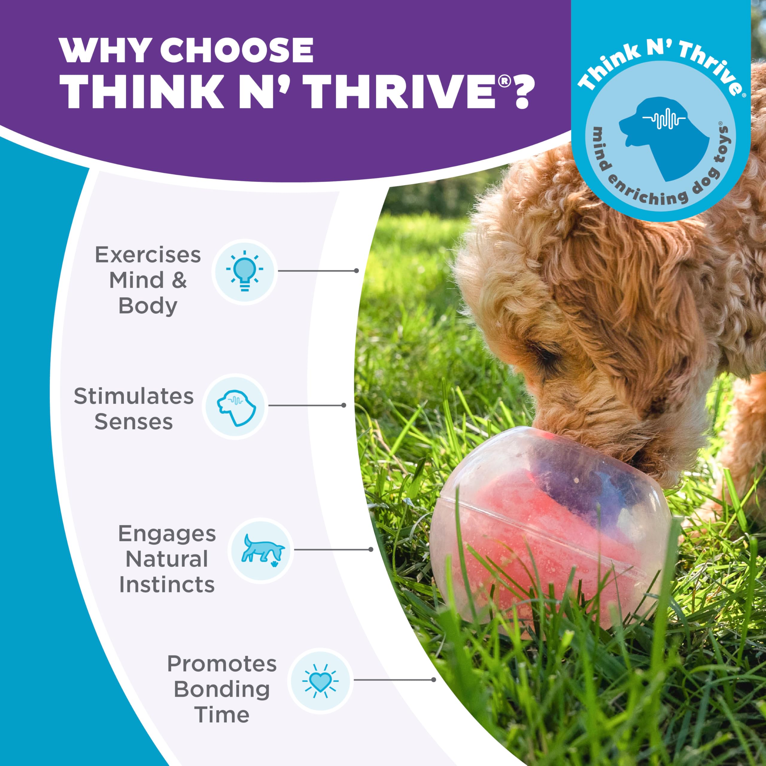 Outward Hound Nina Ottosson Dog Rumble Puzzle Interactive Dog Ball Puzzle & Treat Maze
