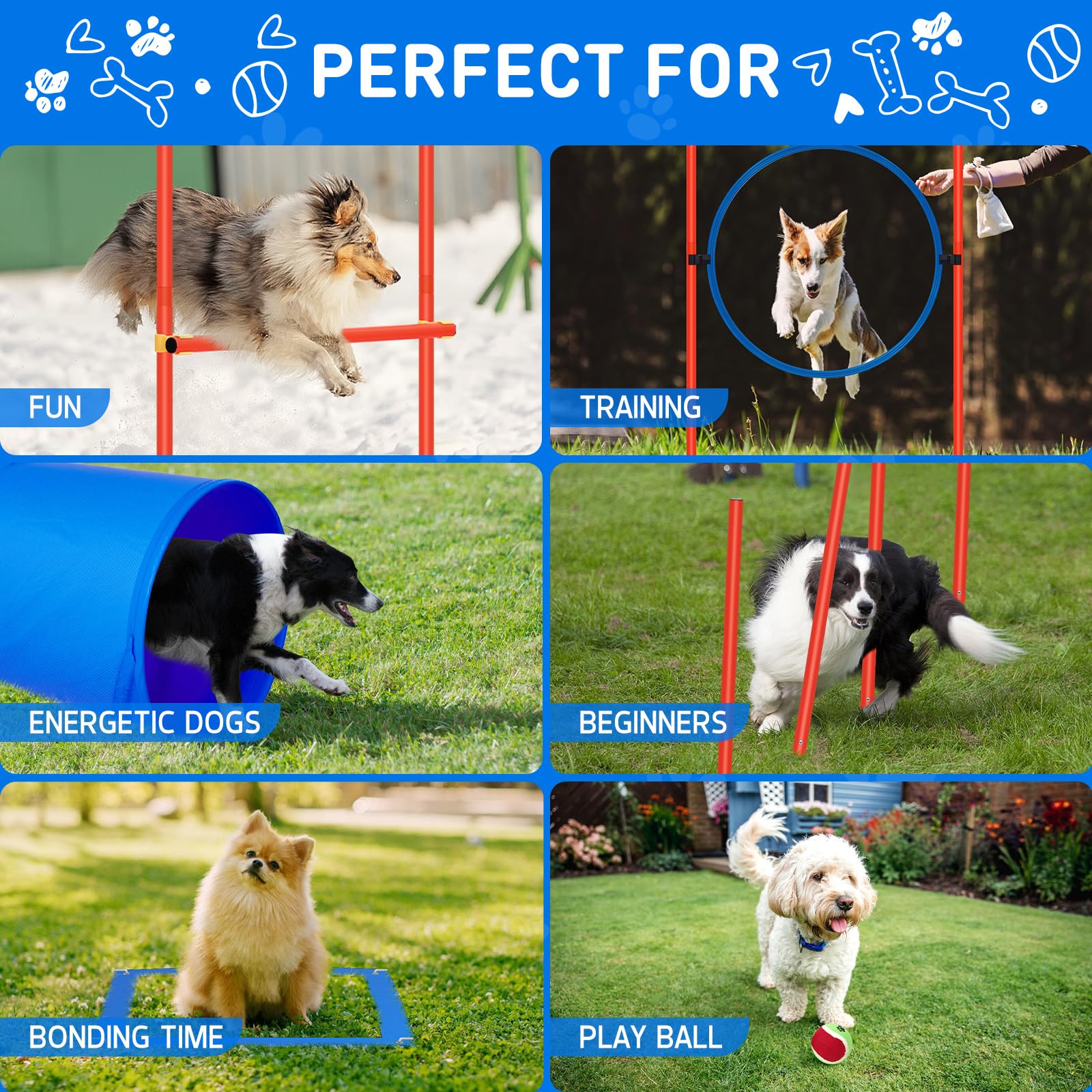 Polar Aurora Dog Agility Equipment, Dog Obstacle Courses Backyard - Pet Outdoor Games W/Adjustable High Jump, Agility Weave Pole