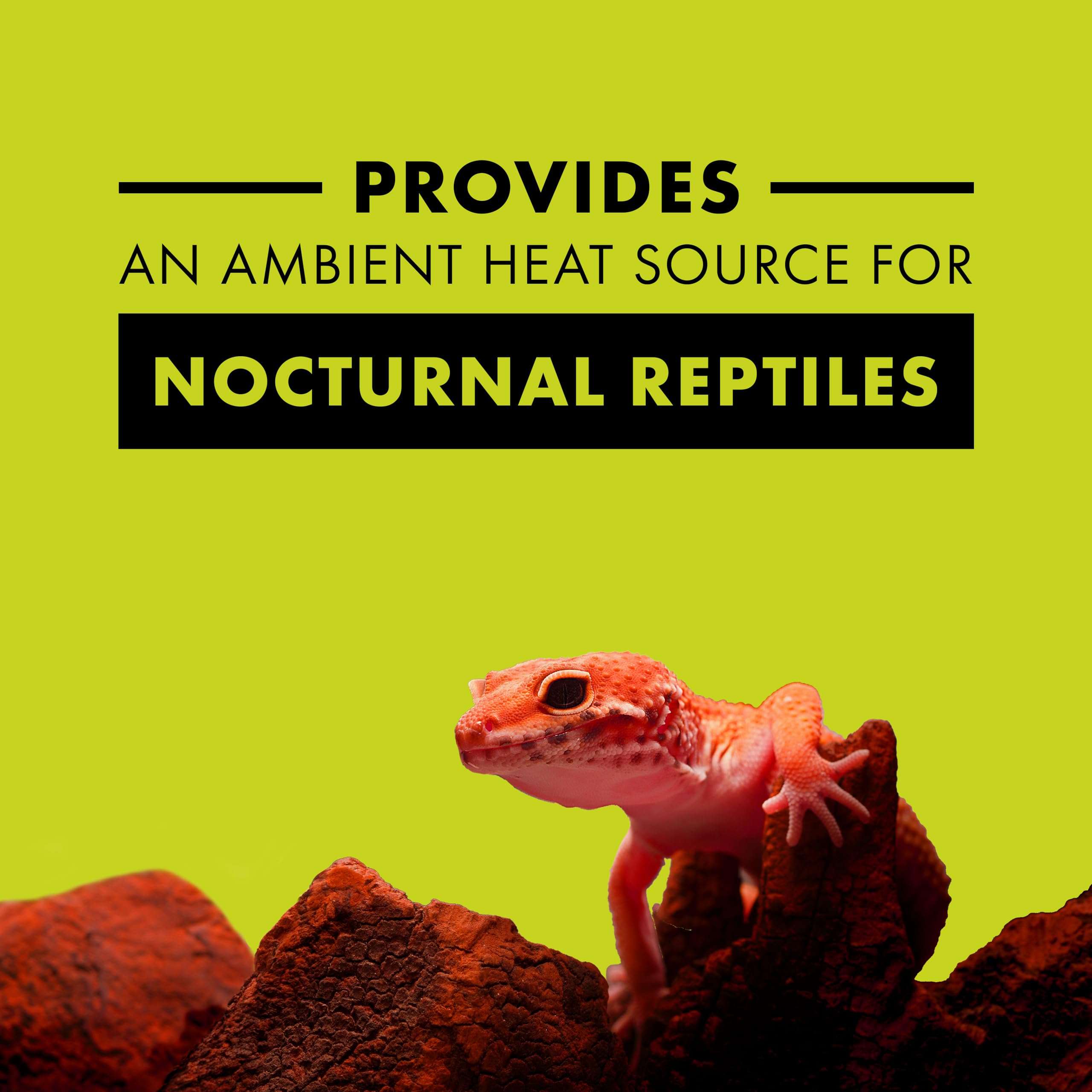 Zilla Incandescent Bulb, Night Red, Ideal For Nocturnal Reptile Species