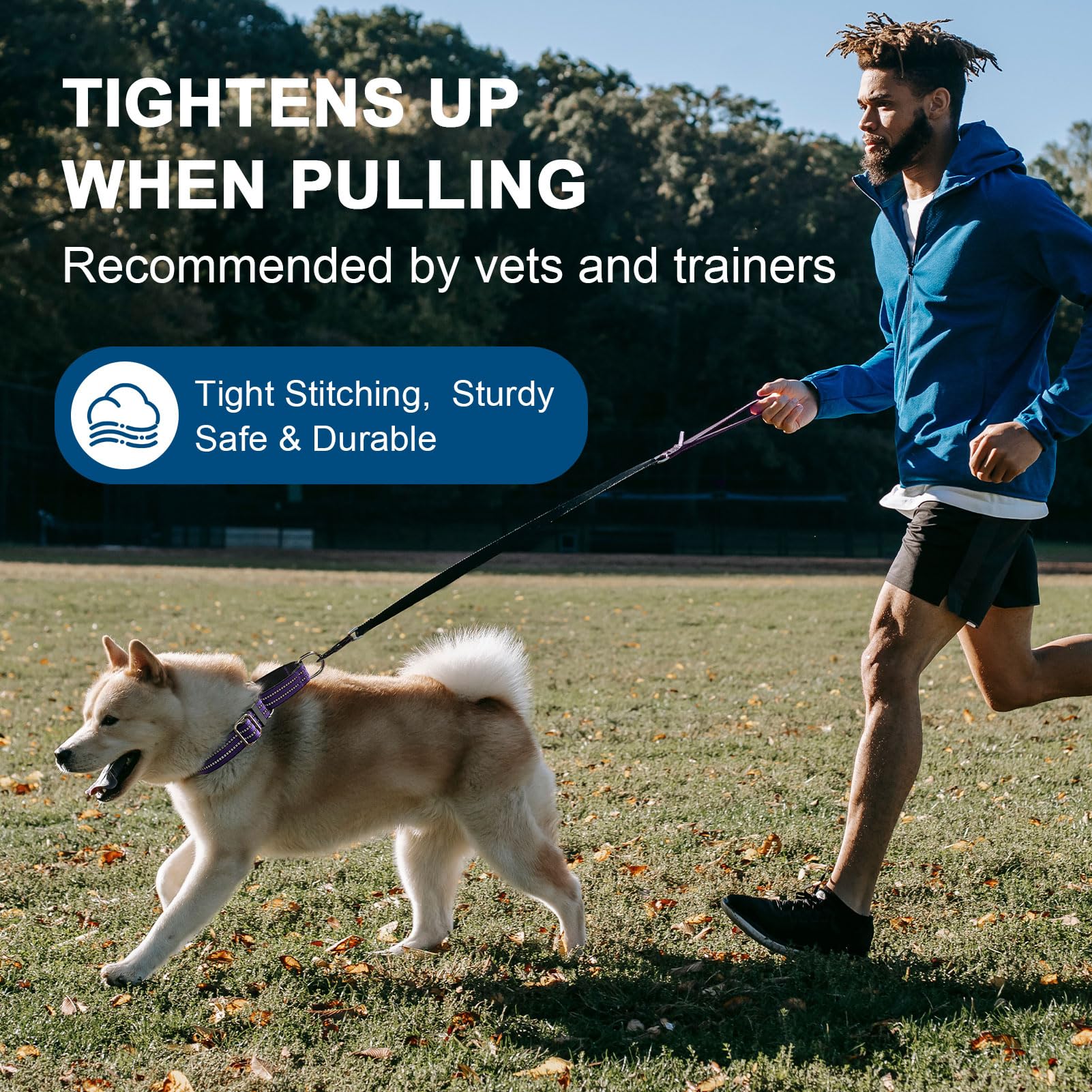 Joyeeiioo Martingale Dog Collar, Adjustable Nylon Reflective Collar With Buckle. No Pull-For Small, Medium, Large Dogs. Prevents