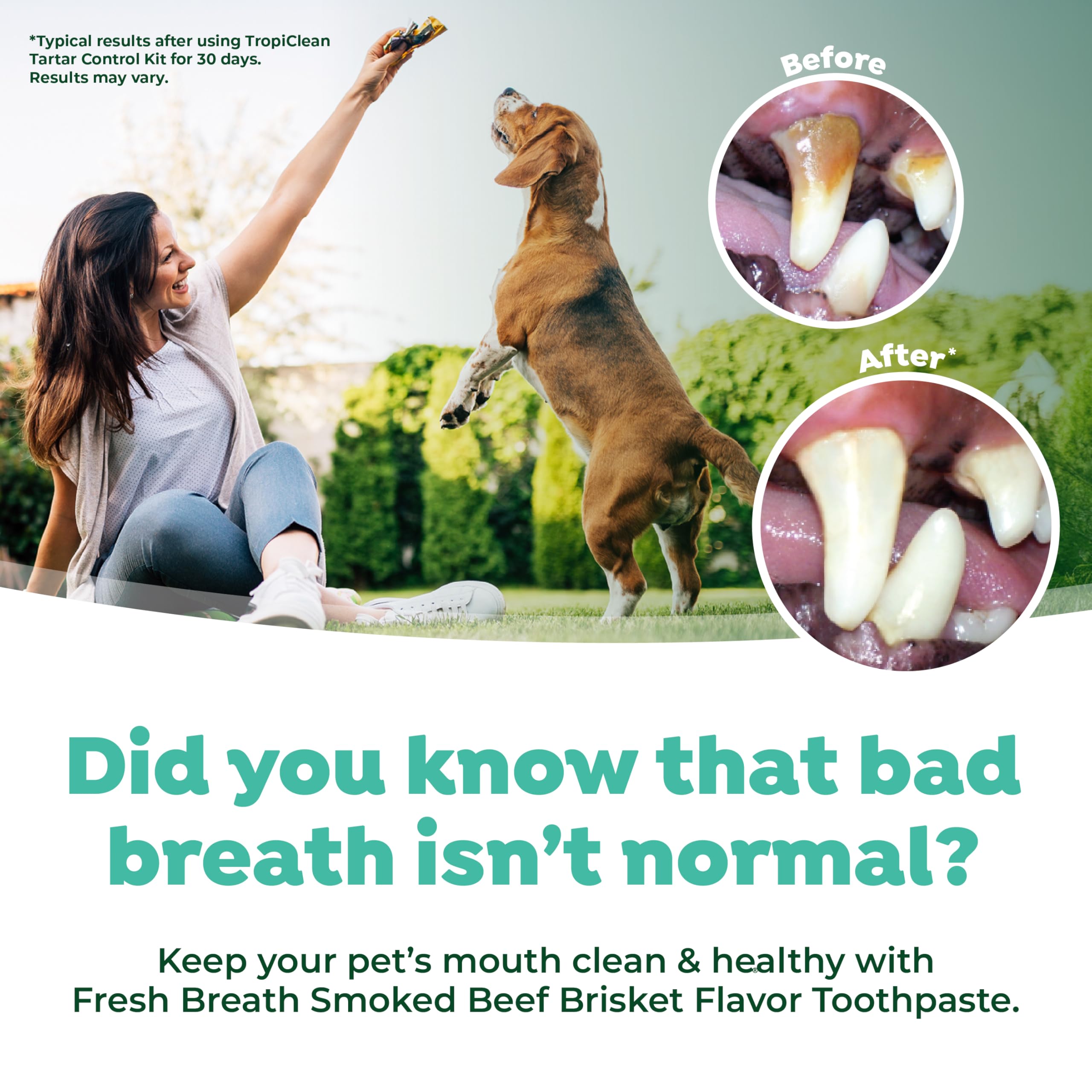 TropiClean Fresh Breath Oral Care Kit - Soft Bristle Finger Toothbrush - Dog Tooth Brushing Kit - Beef Brisket Flavor Dog Toothp