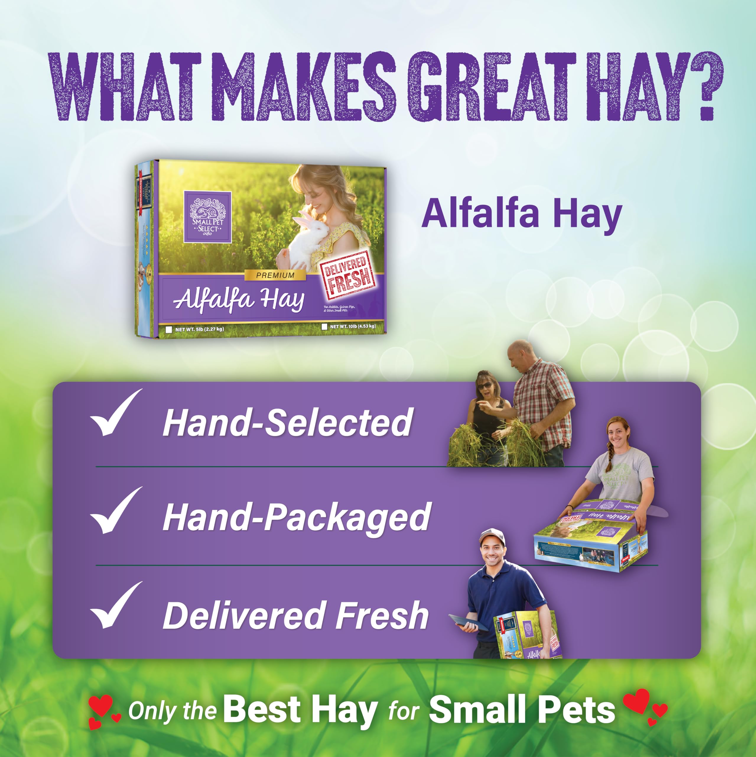 Small Pet Select Alfalfa Hay Pet Food for Young Rabbits, Guinea Pigs, Chinchillas, Tortoises and Other Small Animals, Easy to St