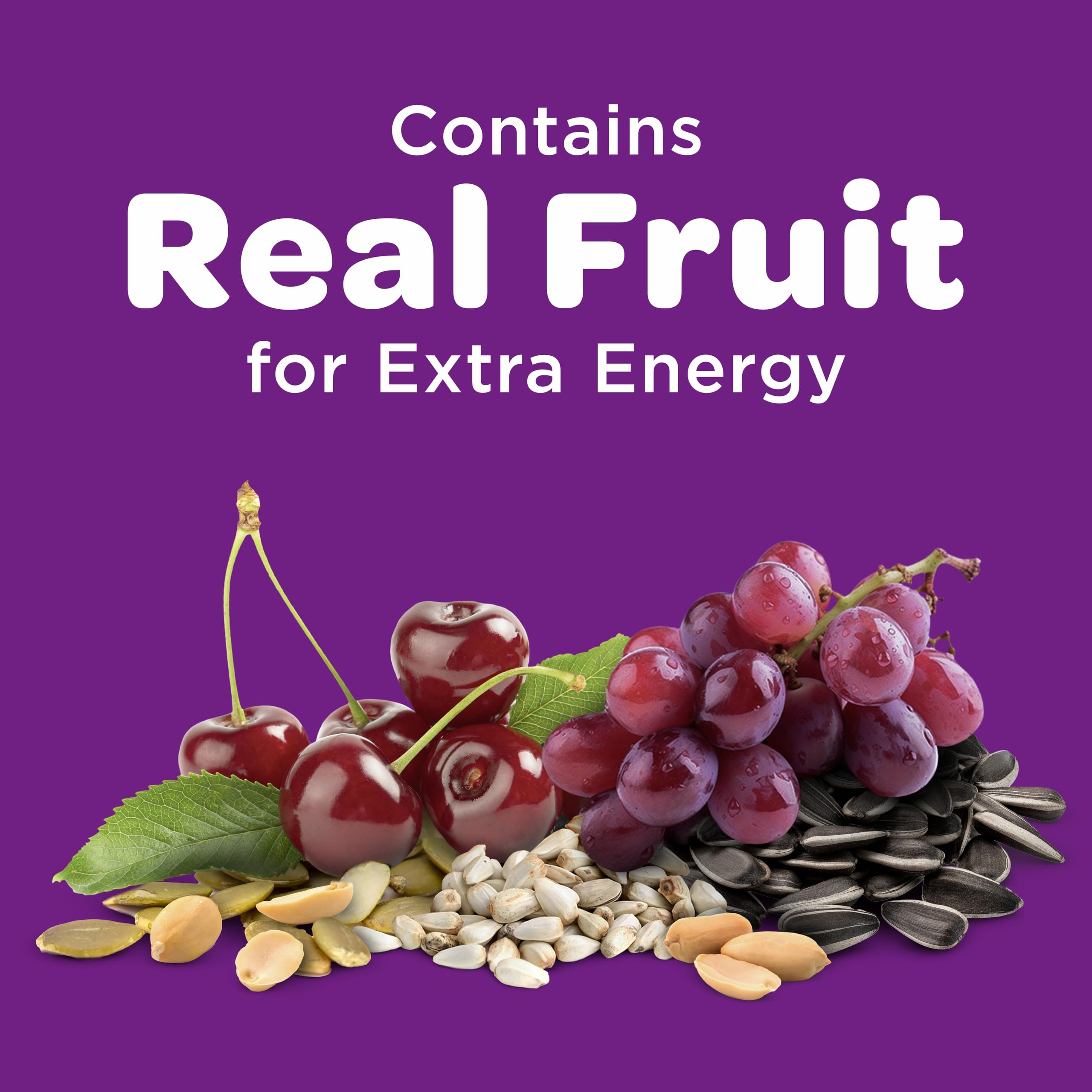 KT NUT&FRUIT BLEND 20LB (Pack of 1)