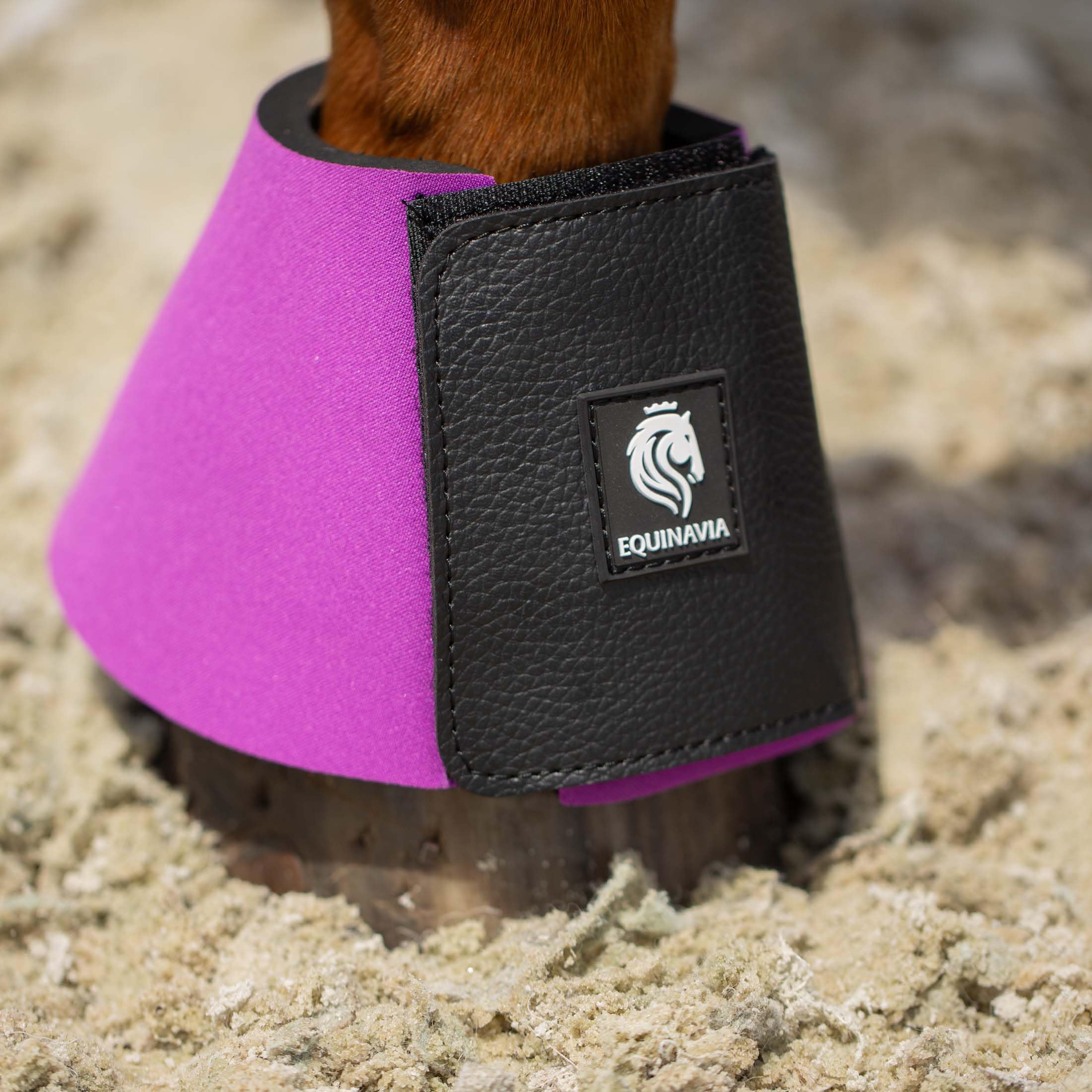 Equinavia Toki Bell Boots For Horses | Neoprene Overreach Boots - Bright Purple - M