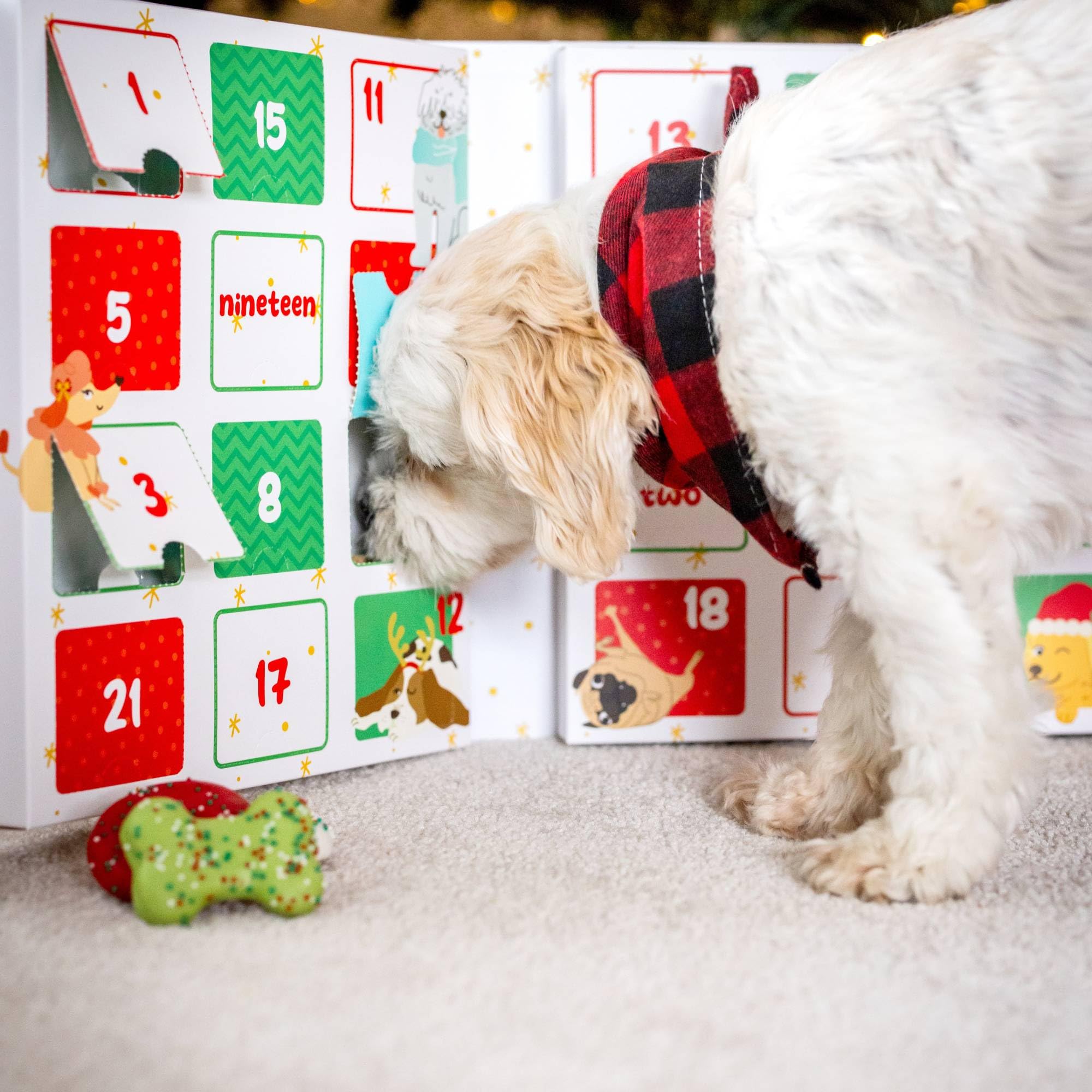 WÜFERS Singing Advent Calendar Dog Cookie Box | Handmade Treats with Natural Ingredients | 1 Count