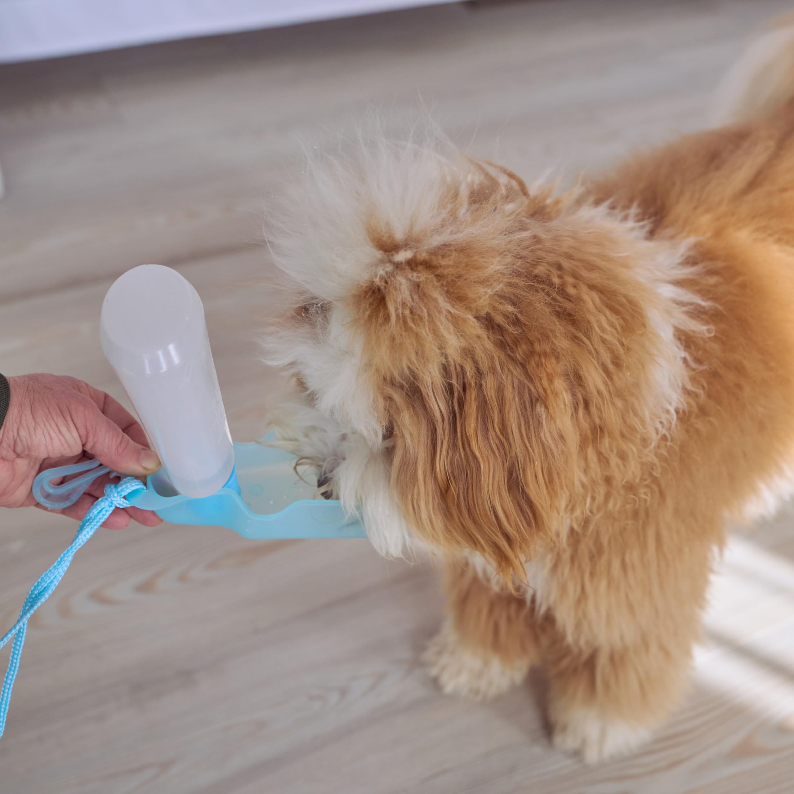 Ethical Pet Handi-Drink 9-Ounce Mini Pet Waterer