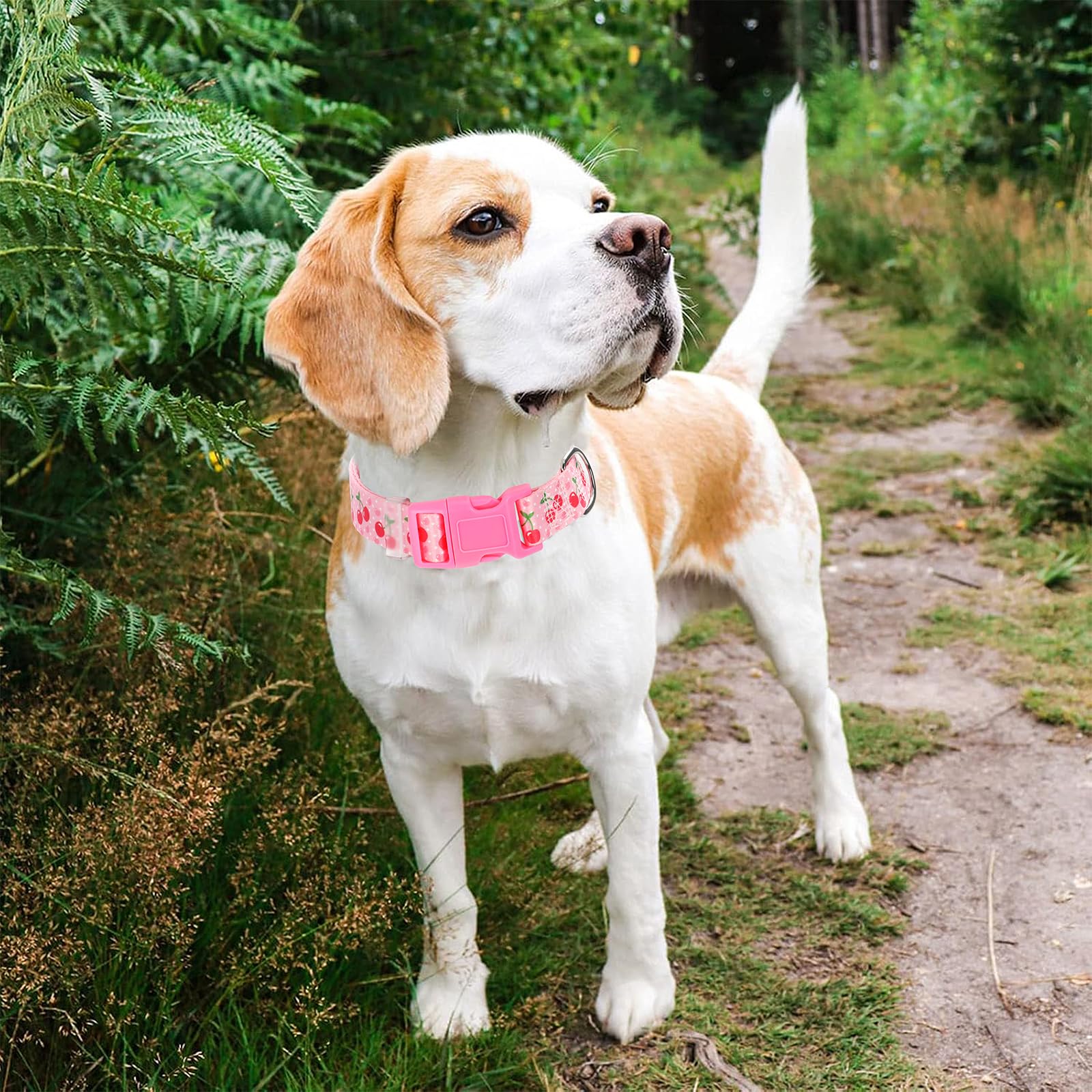 Cute Medium Dog Collar With Pink Cherry Patterns,Adjustable Comfy Soft Durable For Small Medium Large Xl Pet Boy And Girl Dogs (