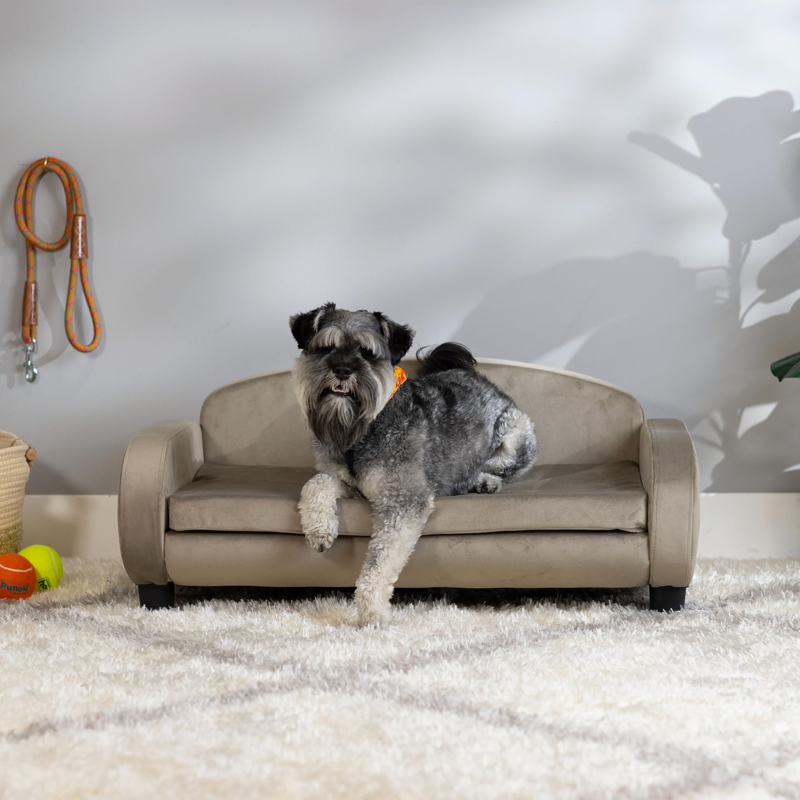 Paws & Purrs Dog Sofa Bed - 35.5'' Modern Pet Couch For Medium Size Dogs With Washable Removable Cover - Stylish Elevated Dog Be