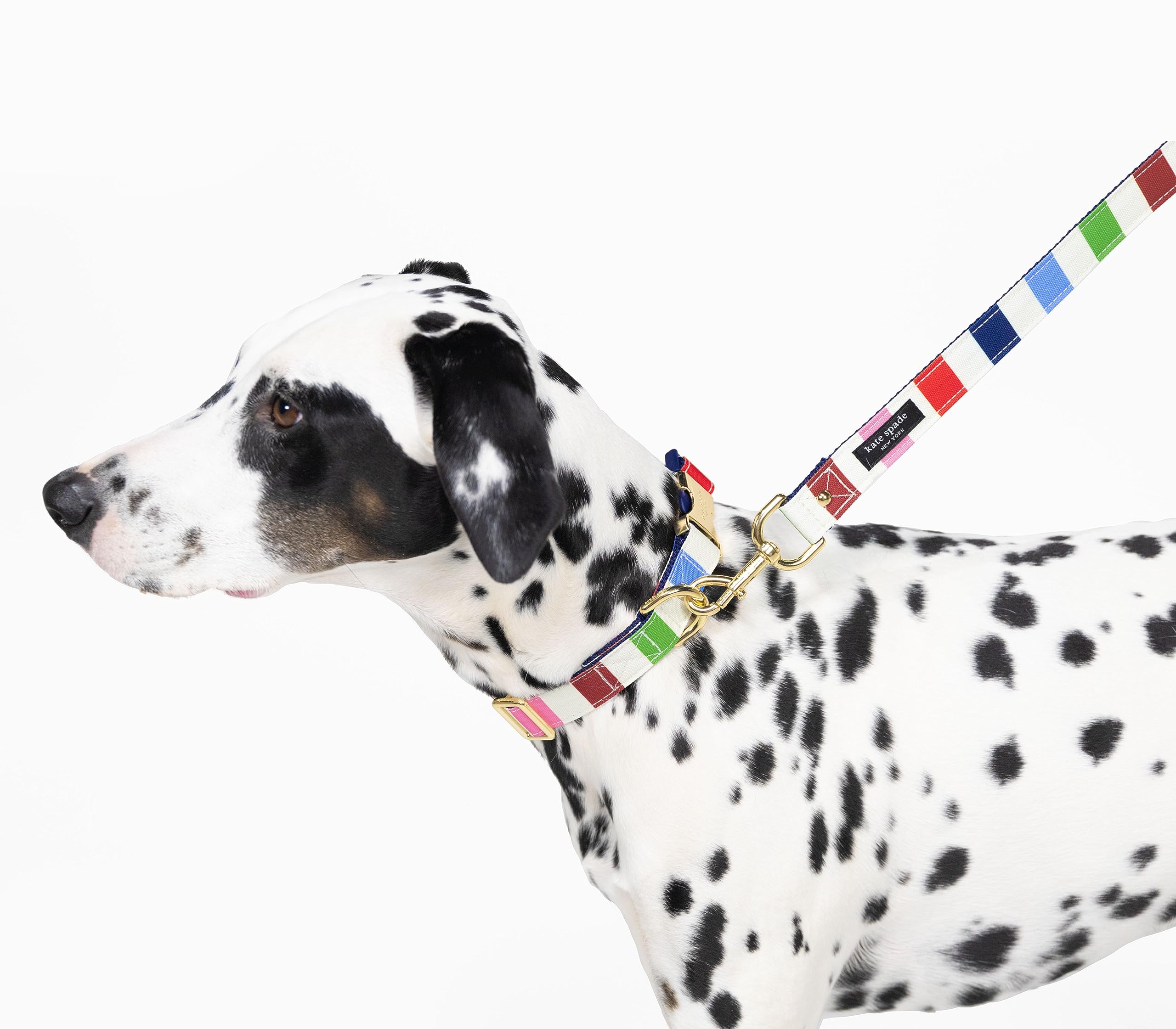 Kate Spade New York Cute Dog Collar With Gold Metal Details & Plastic Buckle, 15'' To 22'' Adjustable Dog Collar For Female Or M