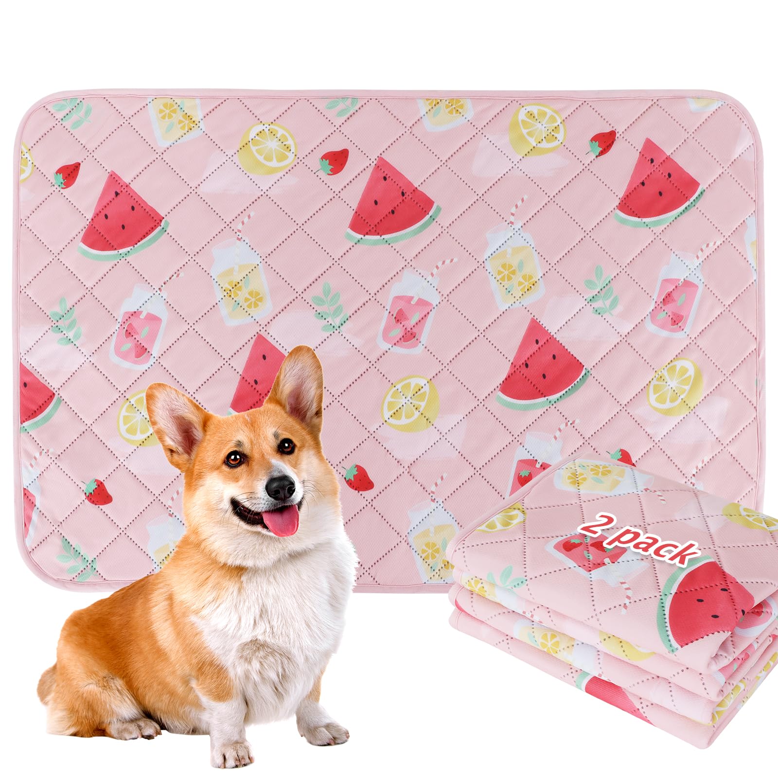 Bvagss Washable Pee Pads For Dogs, 2-Pack Reusable, Leakproof, Waterproof, Super Absorbent, Watermelon, 36X24 Inch