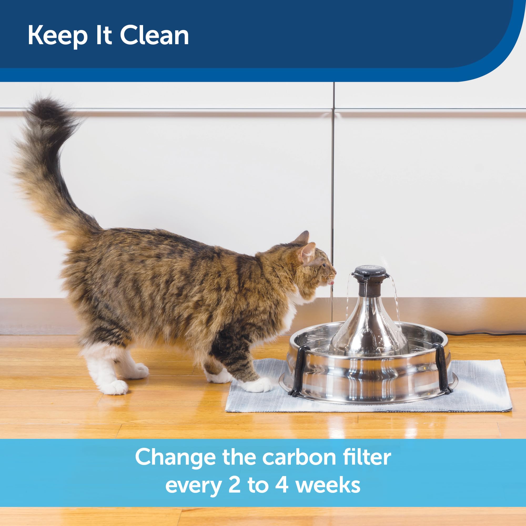 Petsafe Drinkwell 360 Premium Carbon Filters, Dog And Cat Water Fountain Filters, Pack Of 12, Fits Petsafe Stainless Multi-Pet And 360 Pet Fountains