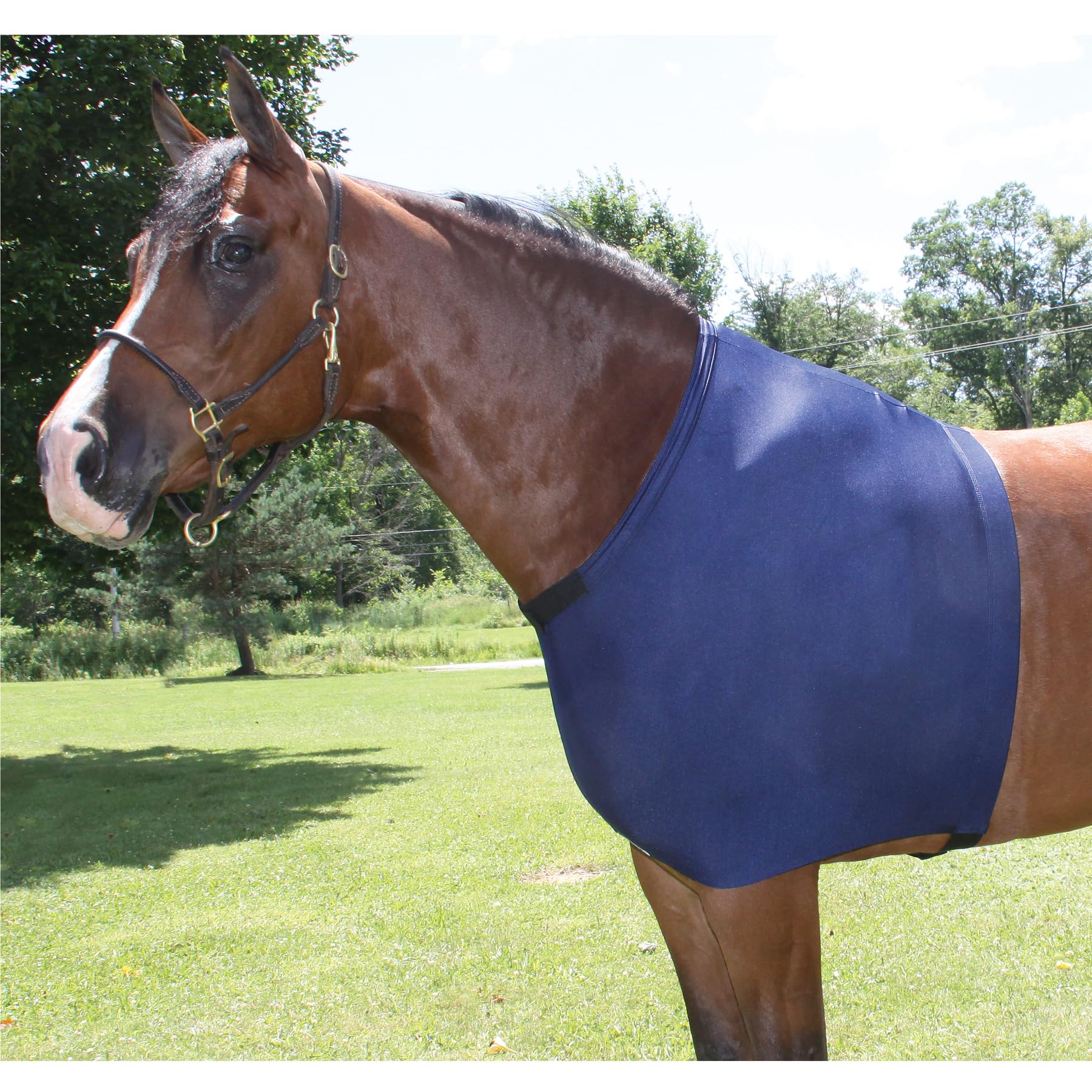 UltraFlex Horse Sleazy Slickers | Horse Protection Slinky | Dirt & Dust Defense | Pull-On Shoulder Guard | Color Navy | Size X-L