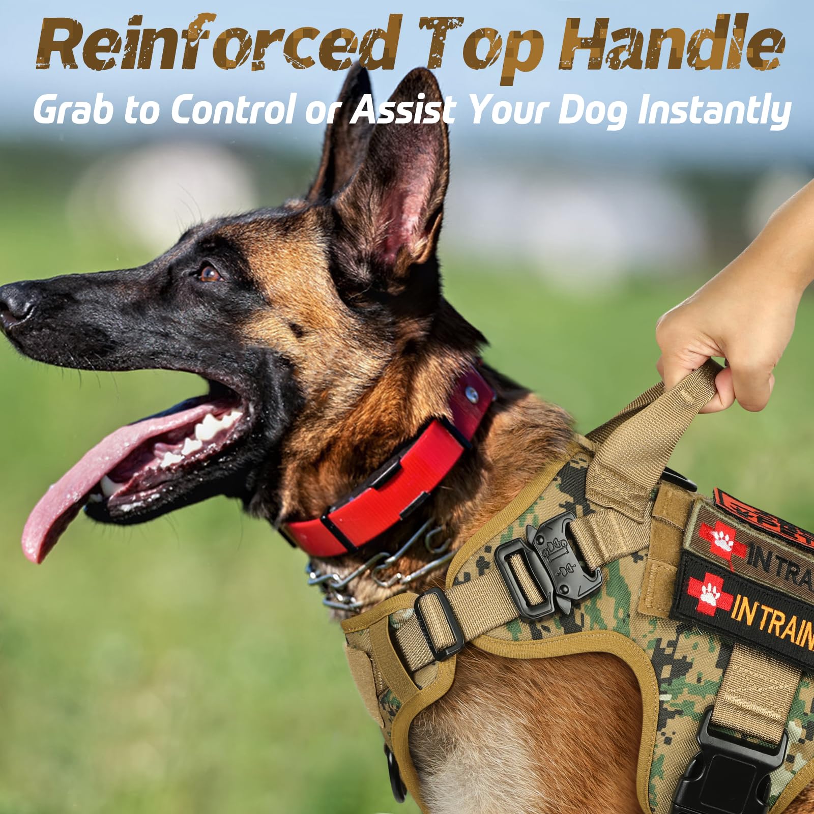Rabbitgoo Tactical Dog Harness For Large Dogs, Heavy Duty Dog Harness With Handle, No-Pull Service Dog Large Breed, Adjustable M