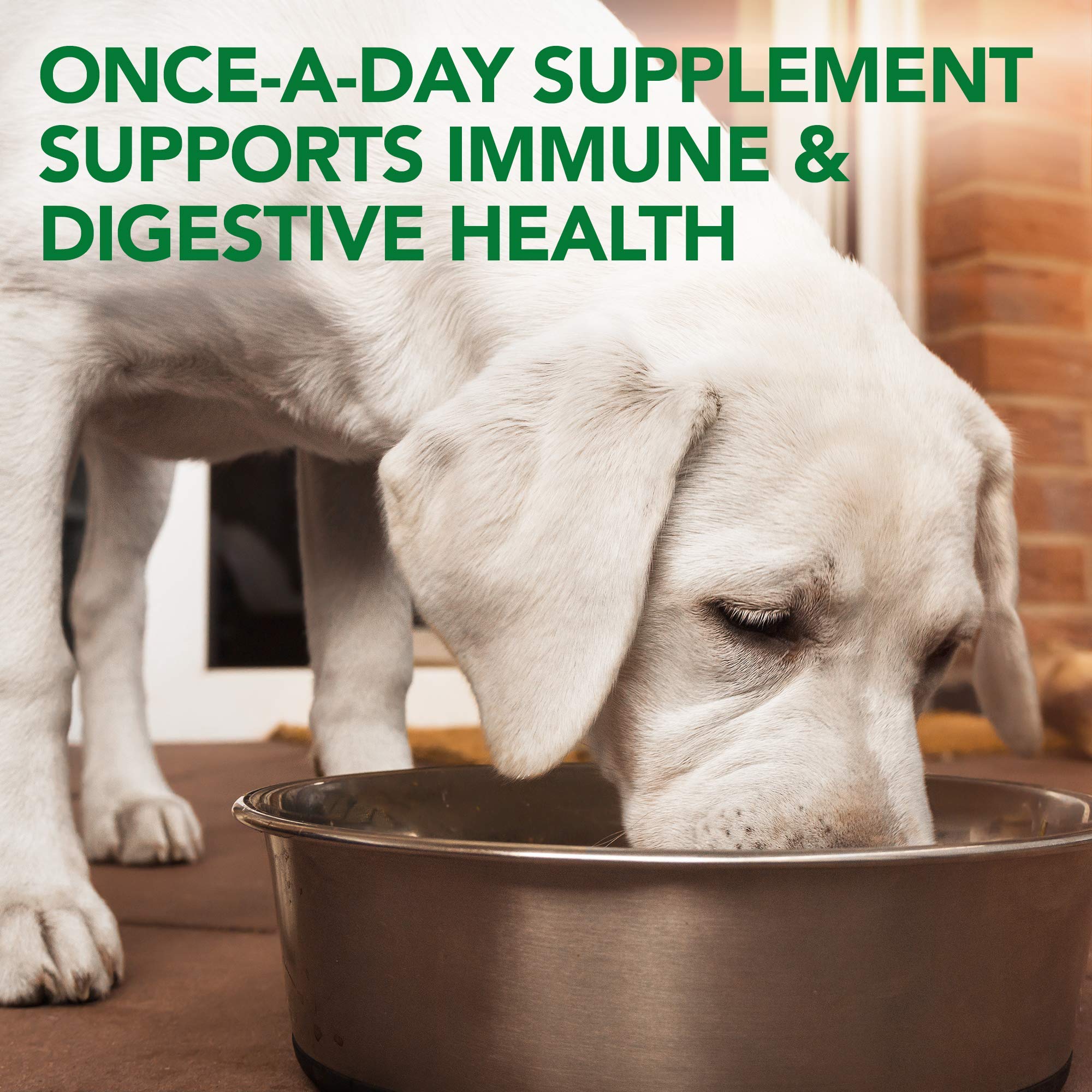 Vets Best Probiotic Soft Chews Dog Supplements | Supports Dog Digestive Health | Promotes A Healthy Gut | 30 Day Supply