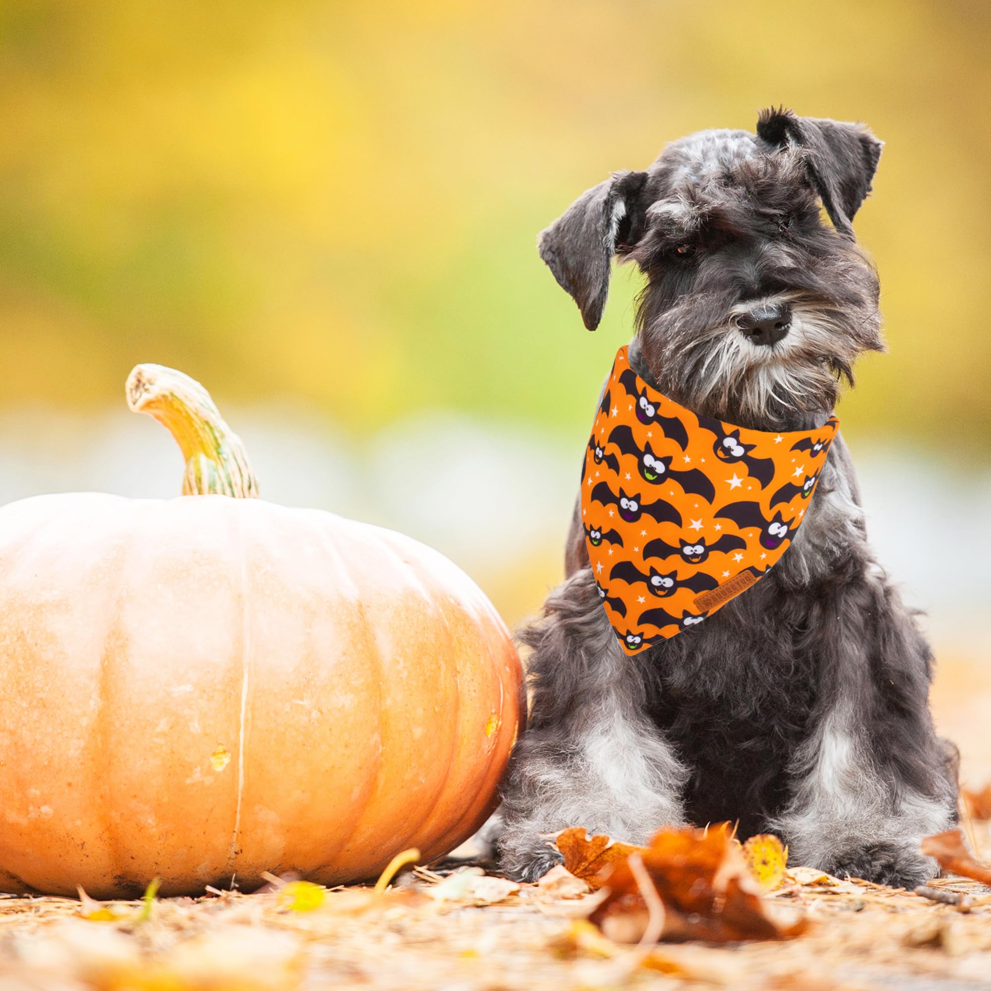 ADOGGYGO Halloween Dog Bandana, Pumpkin Bat Pet Scarf, Premium Durable Fabric, Adjustable Fit Halloween Bandanas for Small Dogs