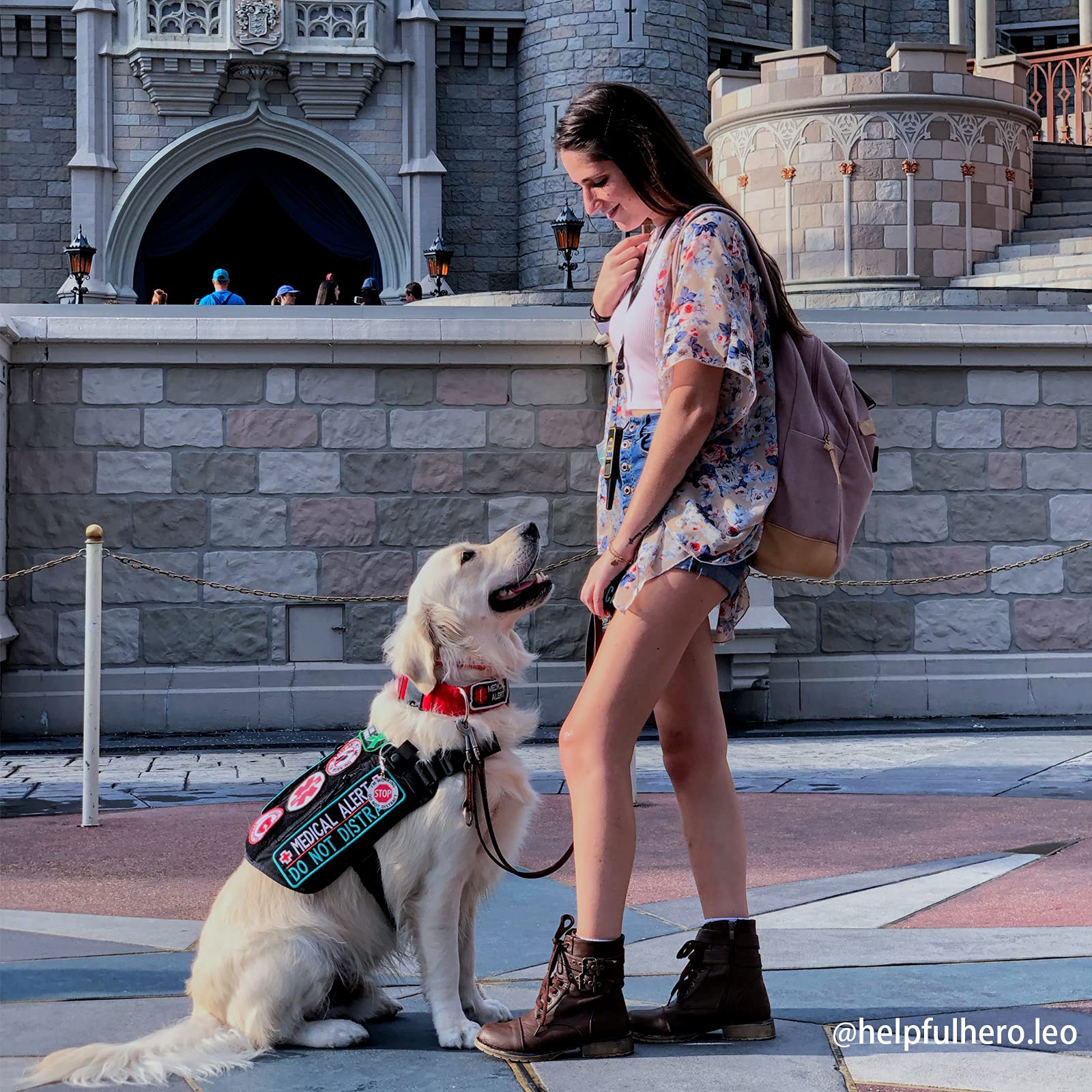 OneTigris Service Dog Harness No-Pull Dog Harness Adjustable Comfort Pet Dog Vest Harness for Outdoor Walking